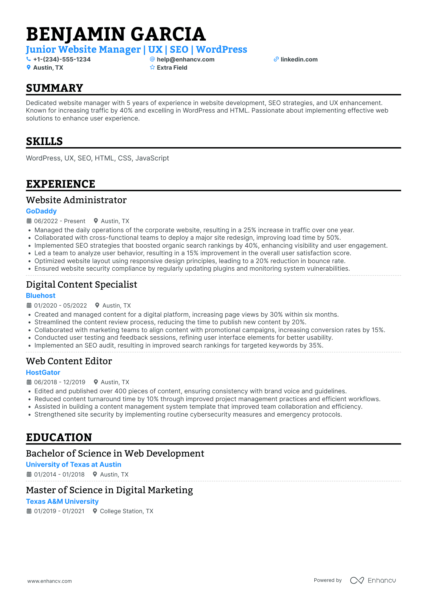 Web Developer Manager Resume Example