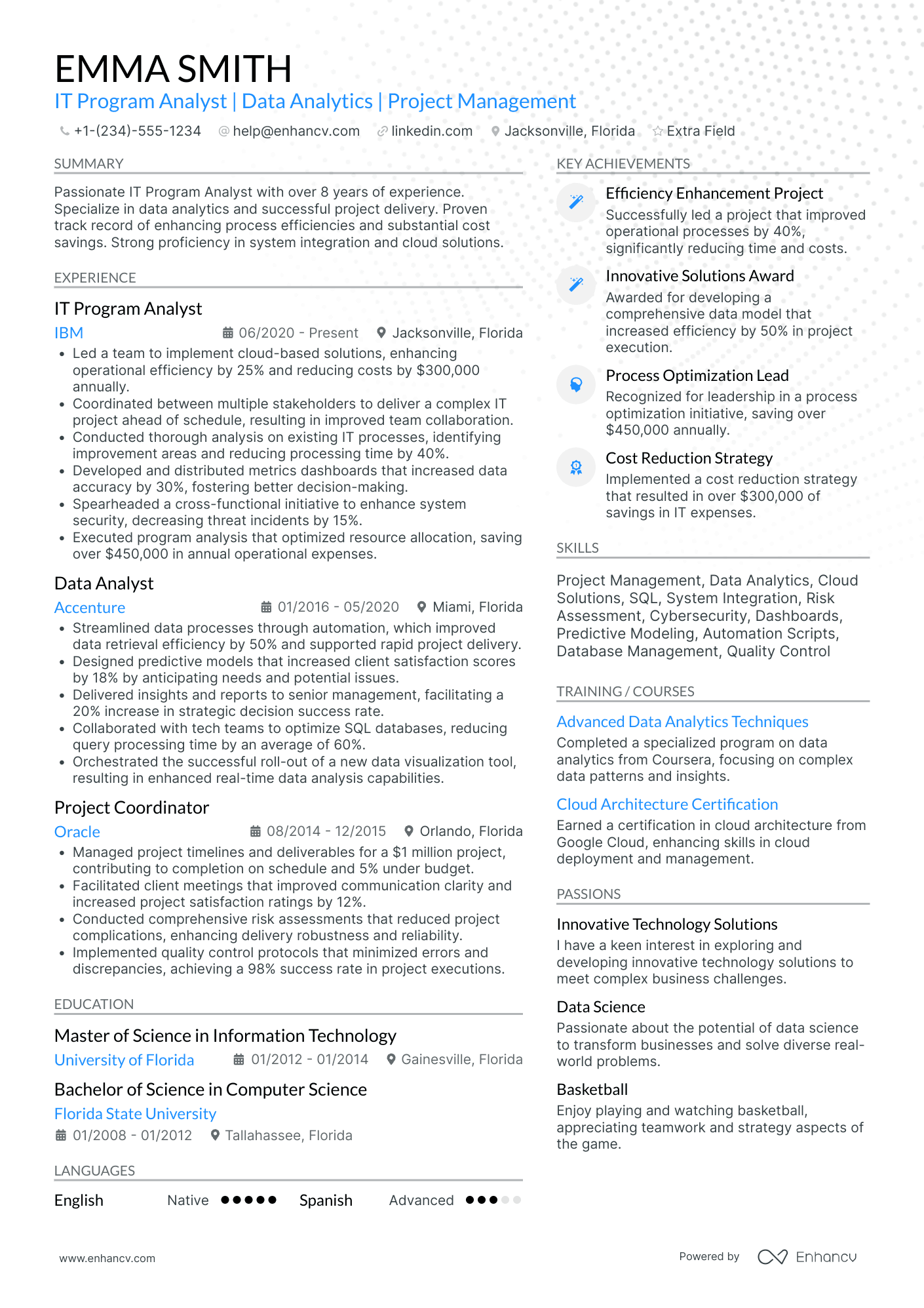 IT Program Analyst Resume Example