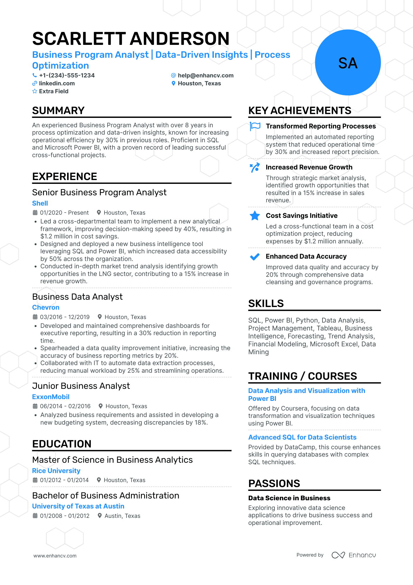 Business Program Analyst Resume Example