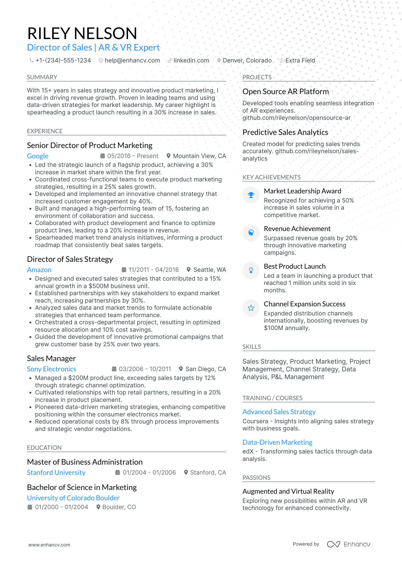 Facebook Sales Director Resume Example