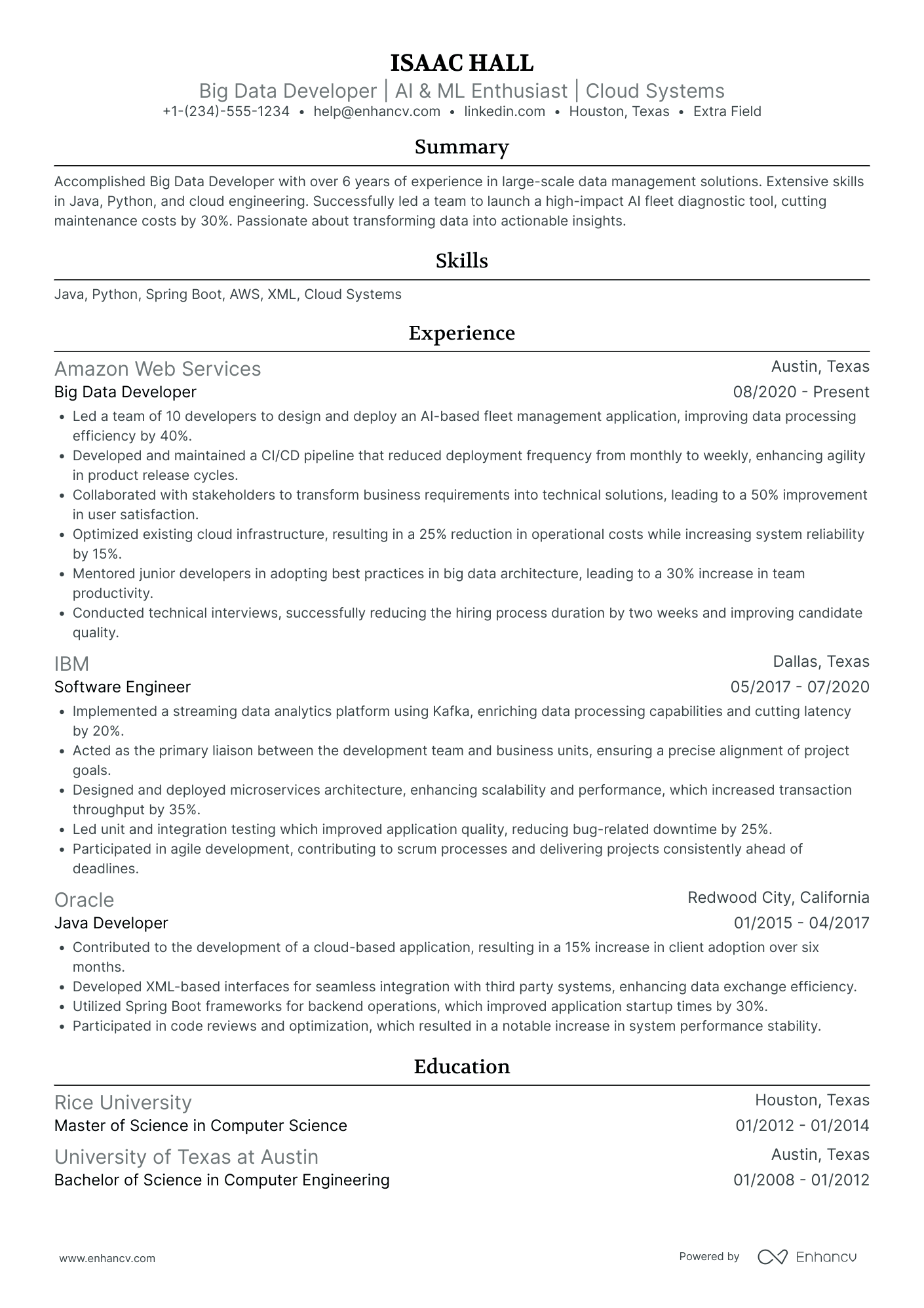 Blockchain Network Developer Resume Example