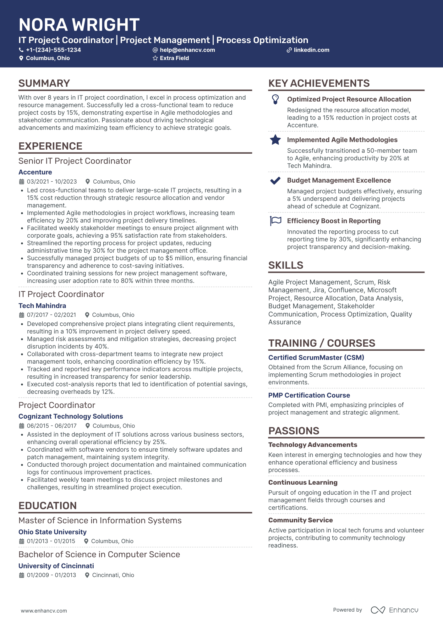 IT Project Coordinator Resume Example