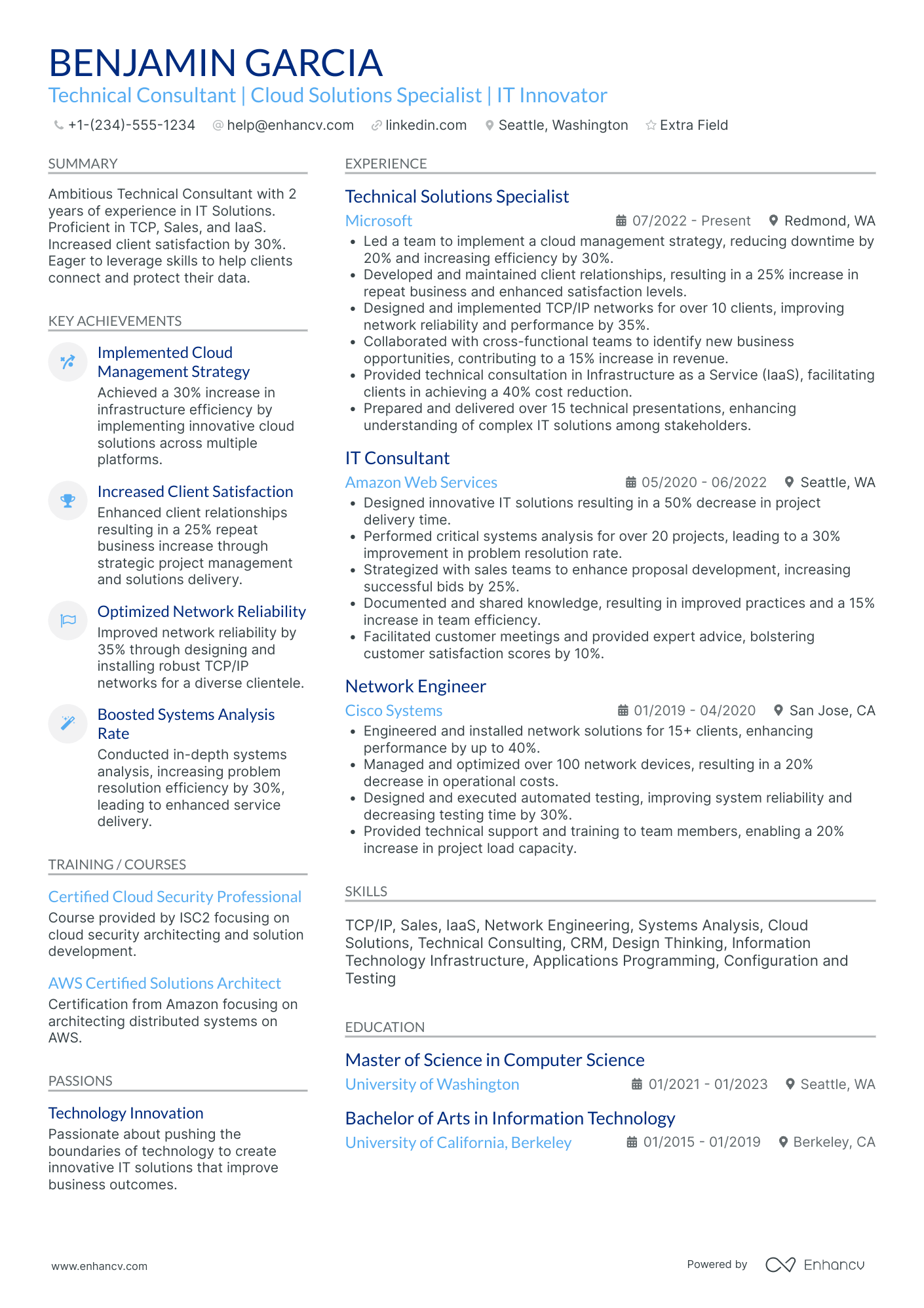 Technology Process Consultant Resume Example