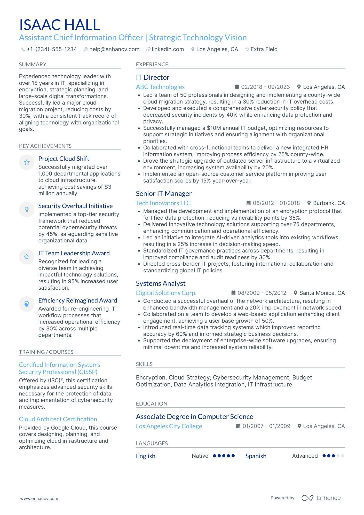 Assistant Chief Information Officer Resume Example