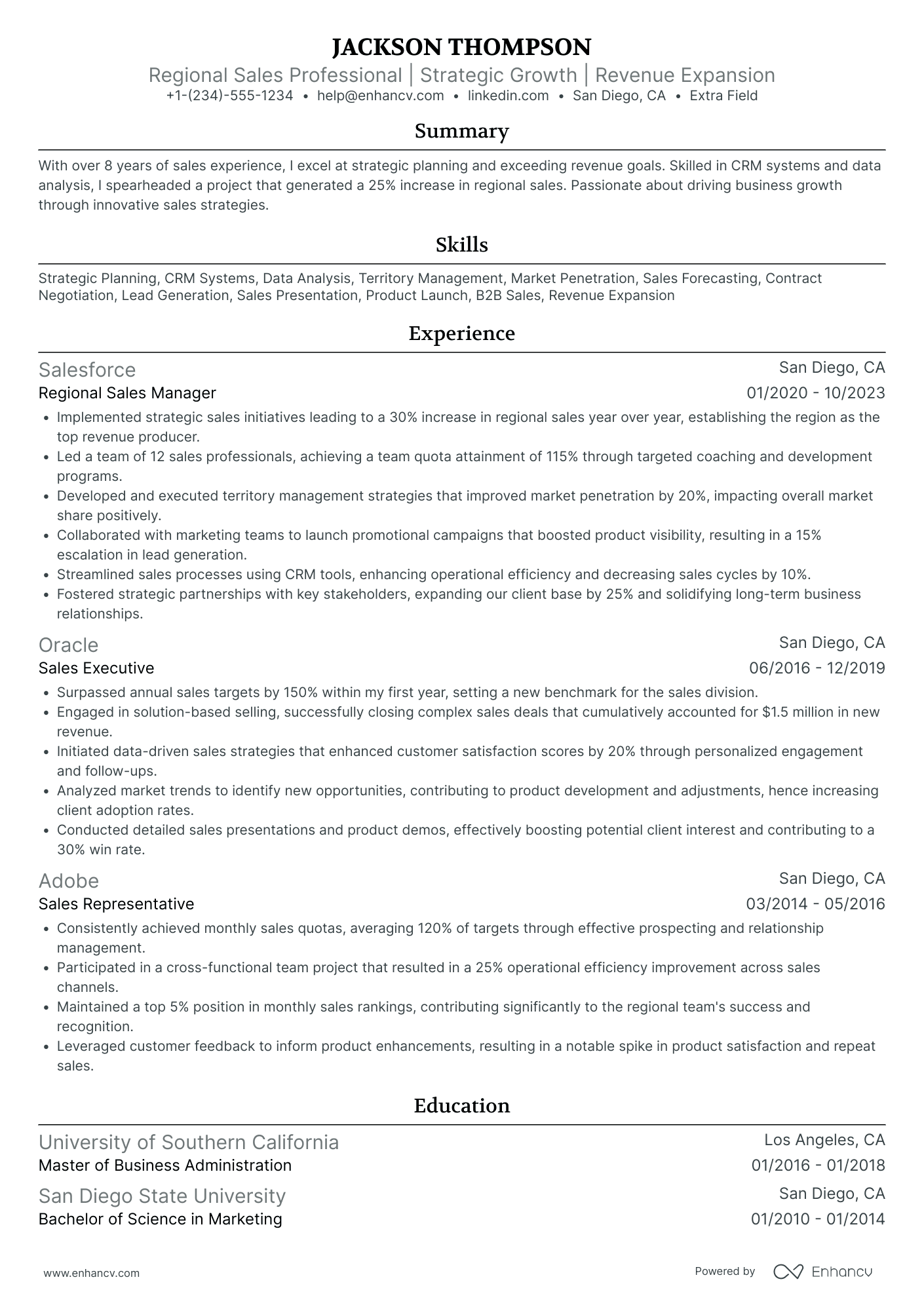 Regional Sales Professional Resume Example