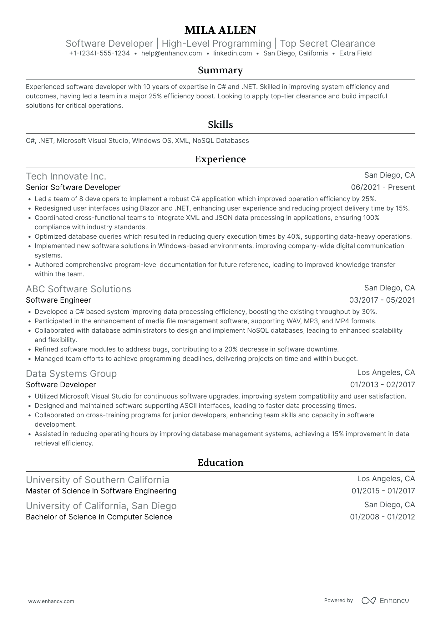 .Net Systems Developer Resume Example