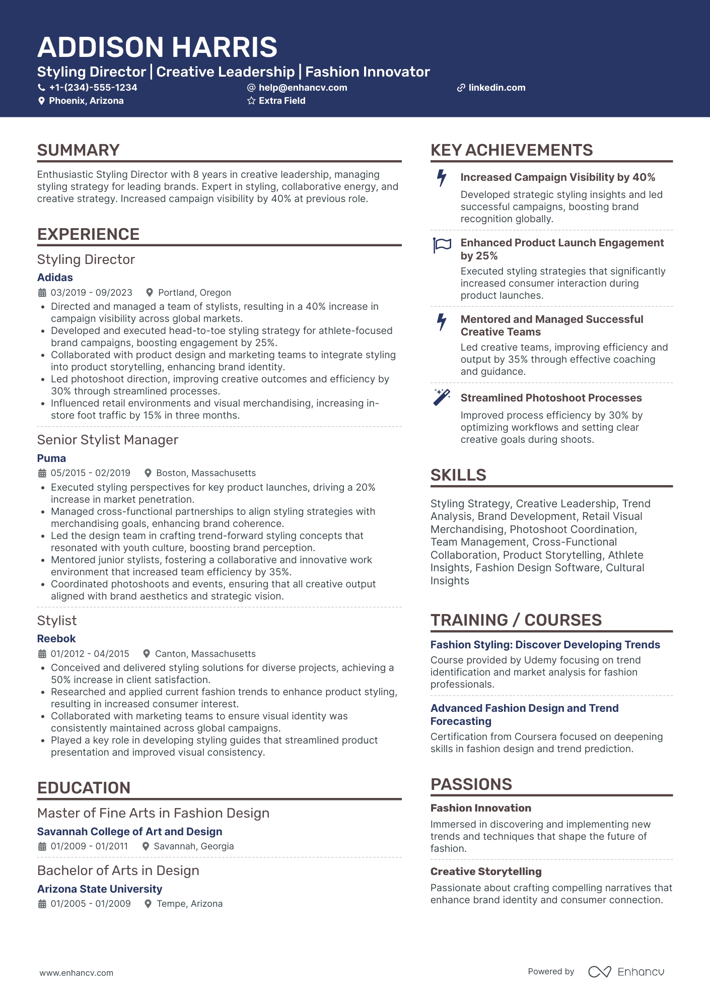 Fashion Stylist Director Resume Example