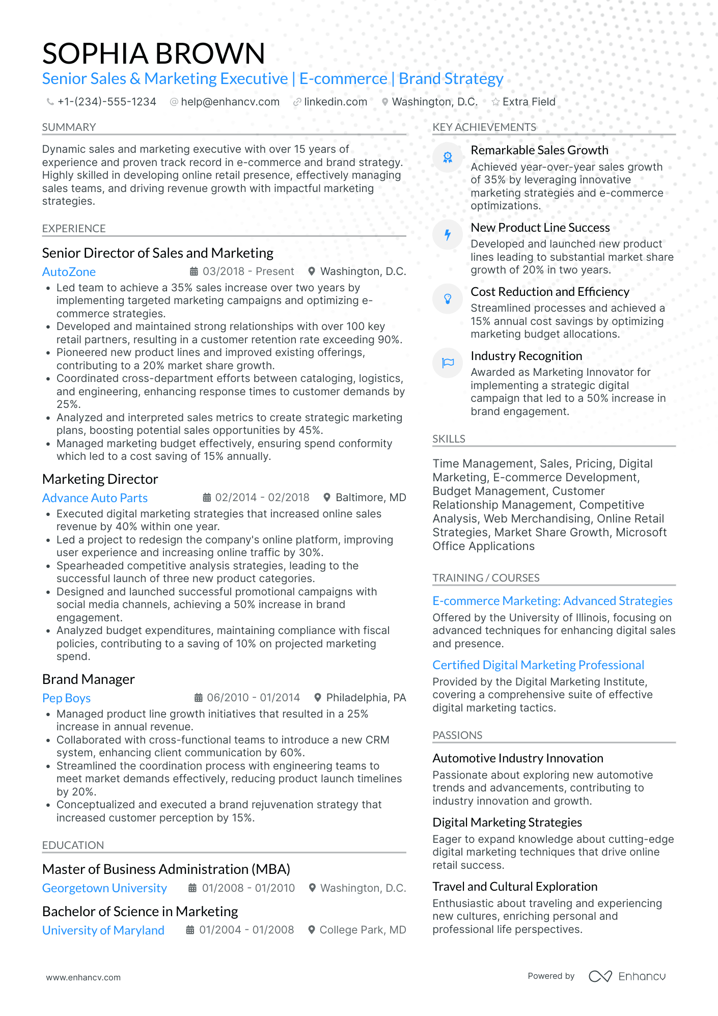 VP Marketing and Sales Resume Example