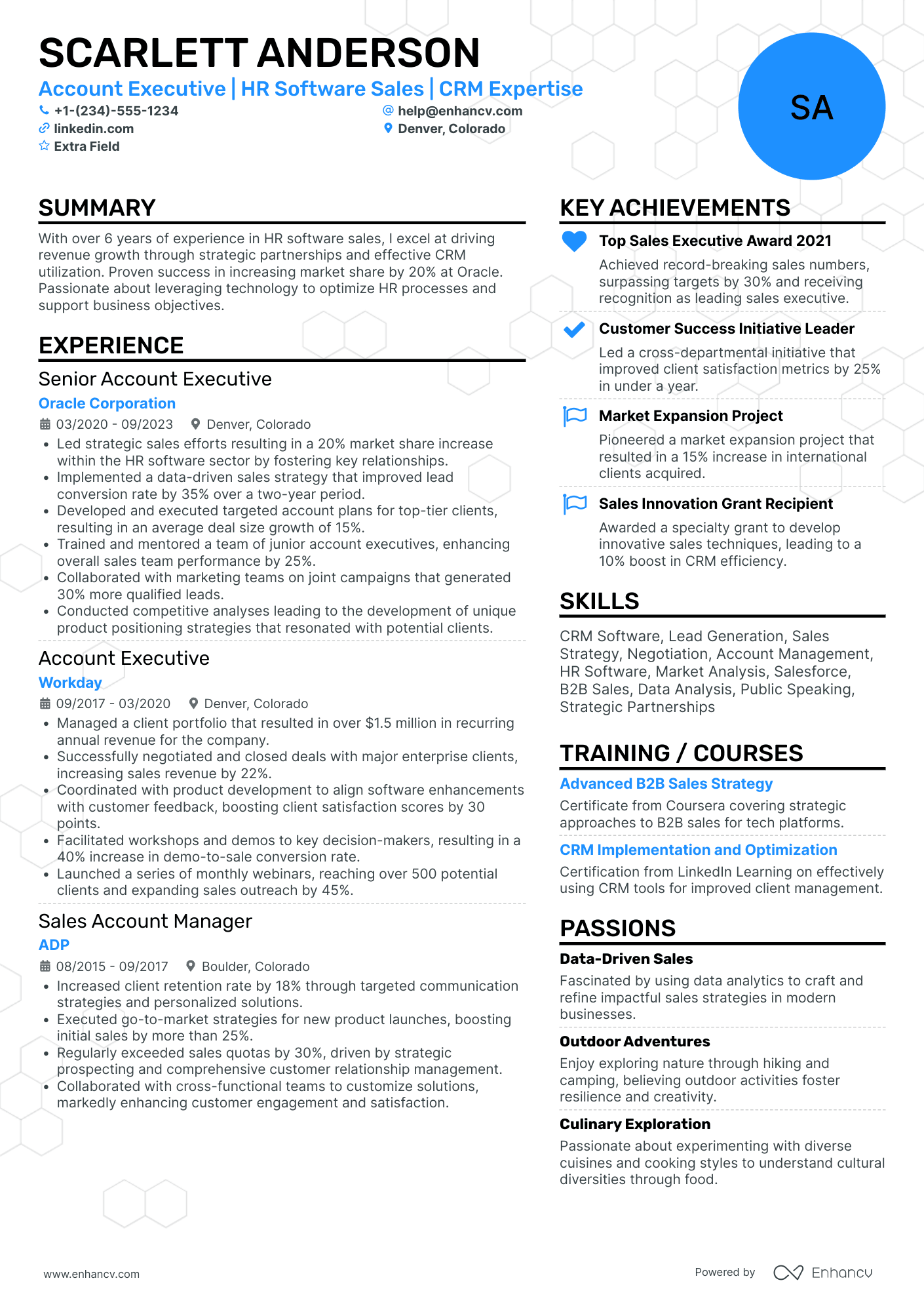 Software Sales Account Executive Resume Example