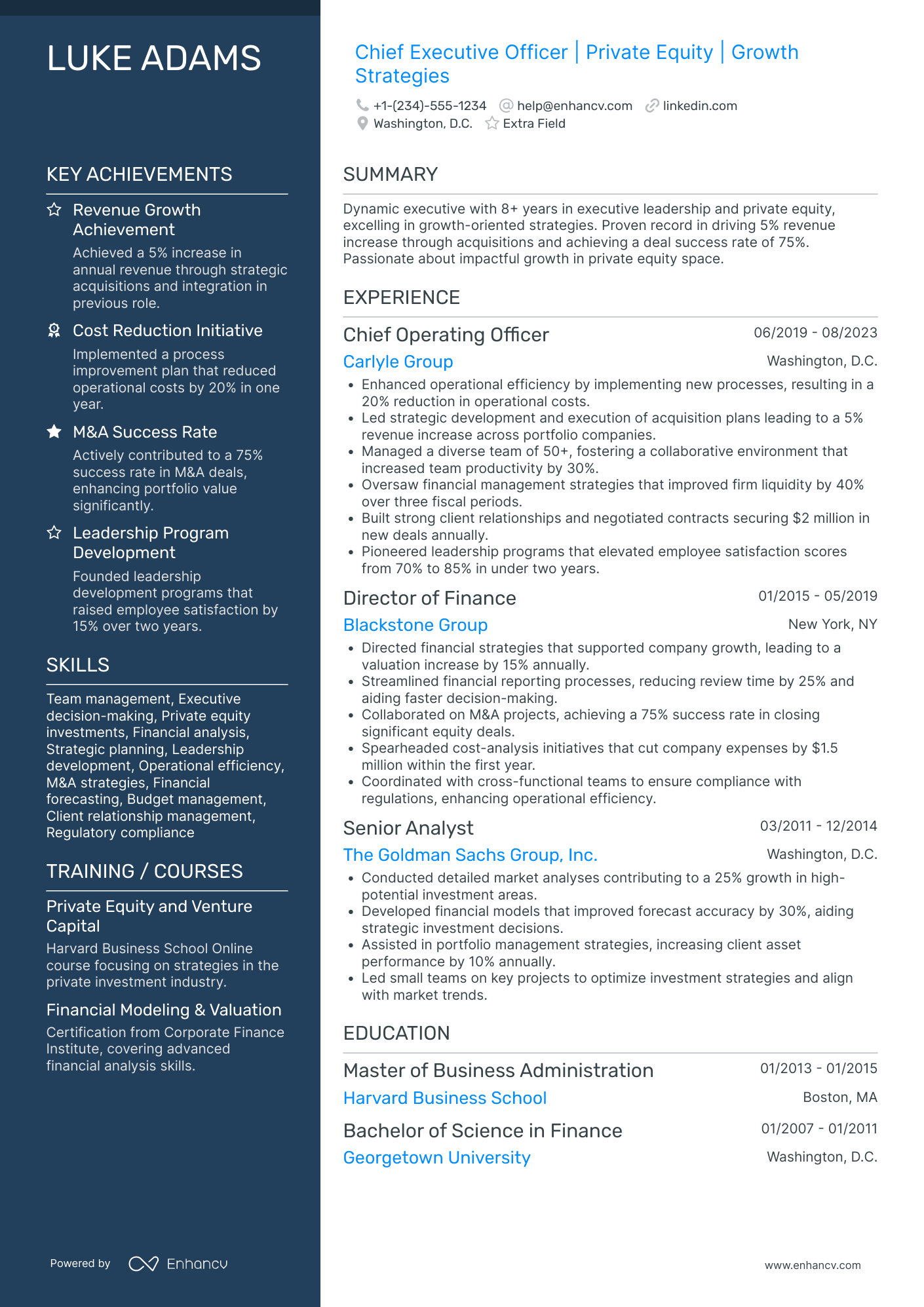 Startup Chief Executive Officer Resume Example