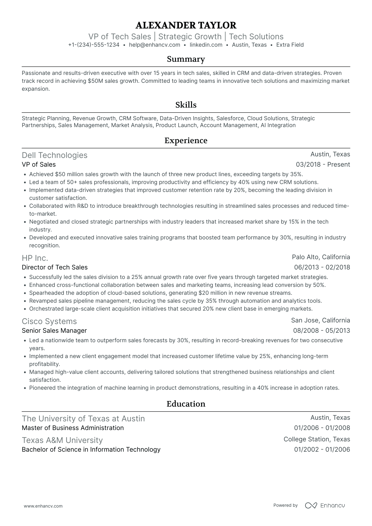 VP of Tech Sales Resume Example