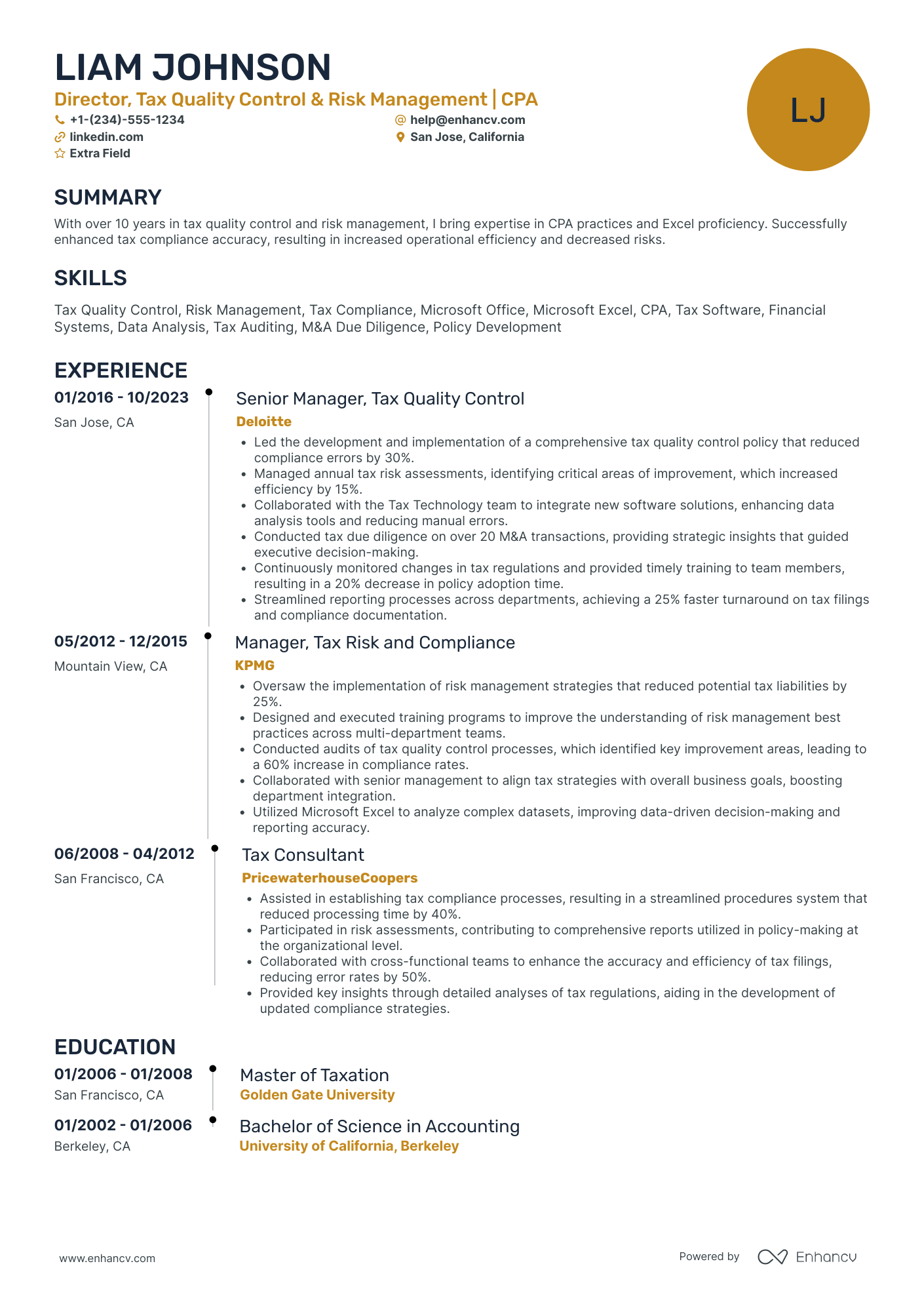 Tax Risk Manager Resume Example