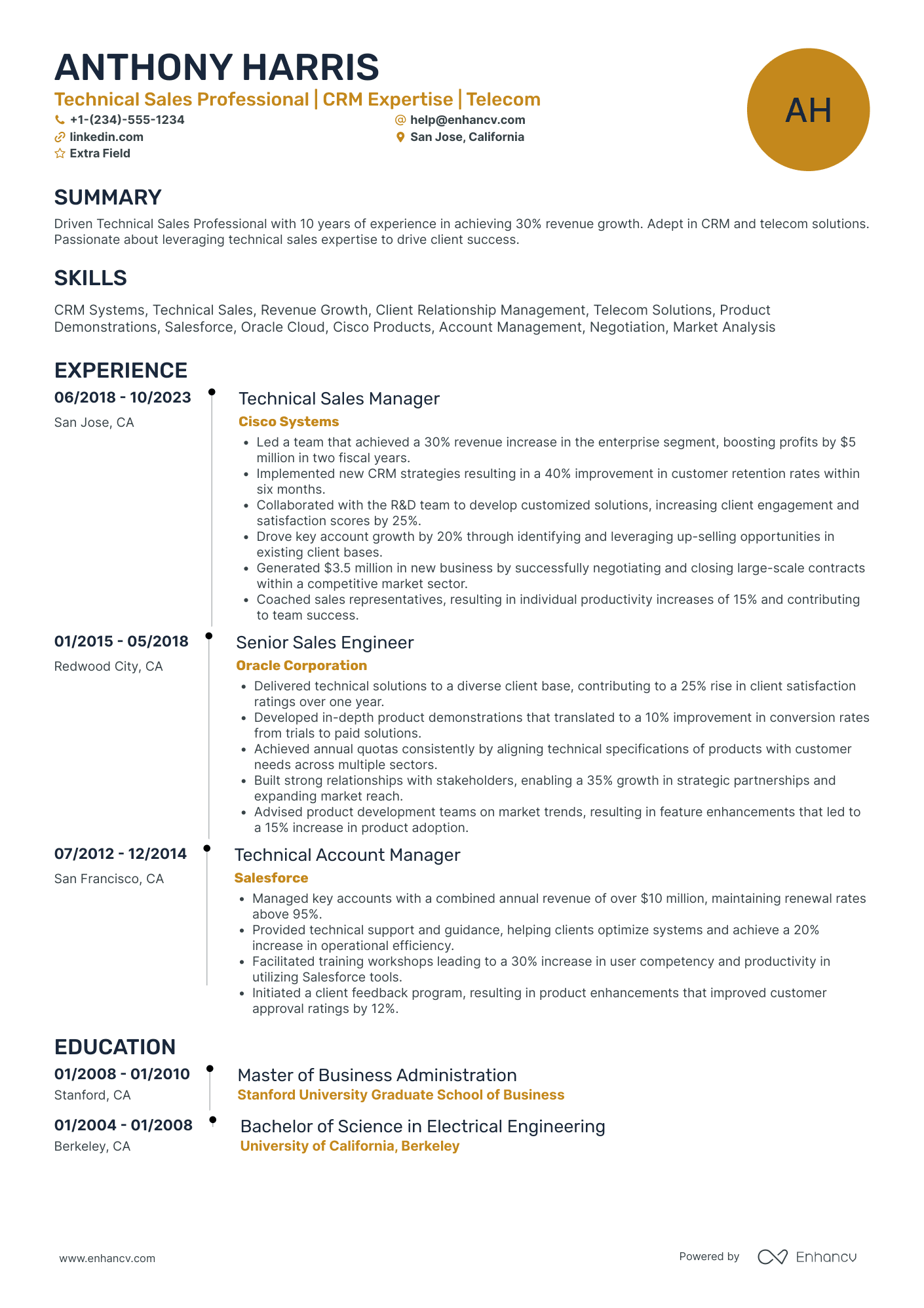 Technical Sales Professional Resume Example