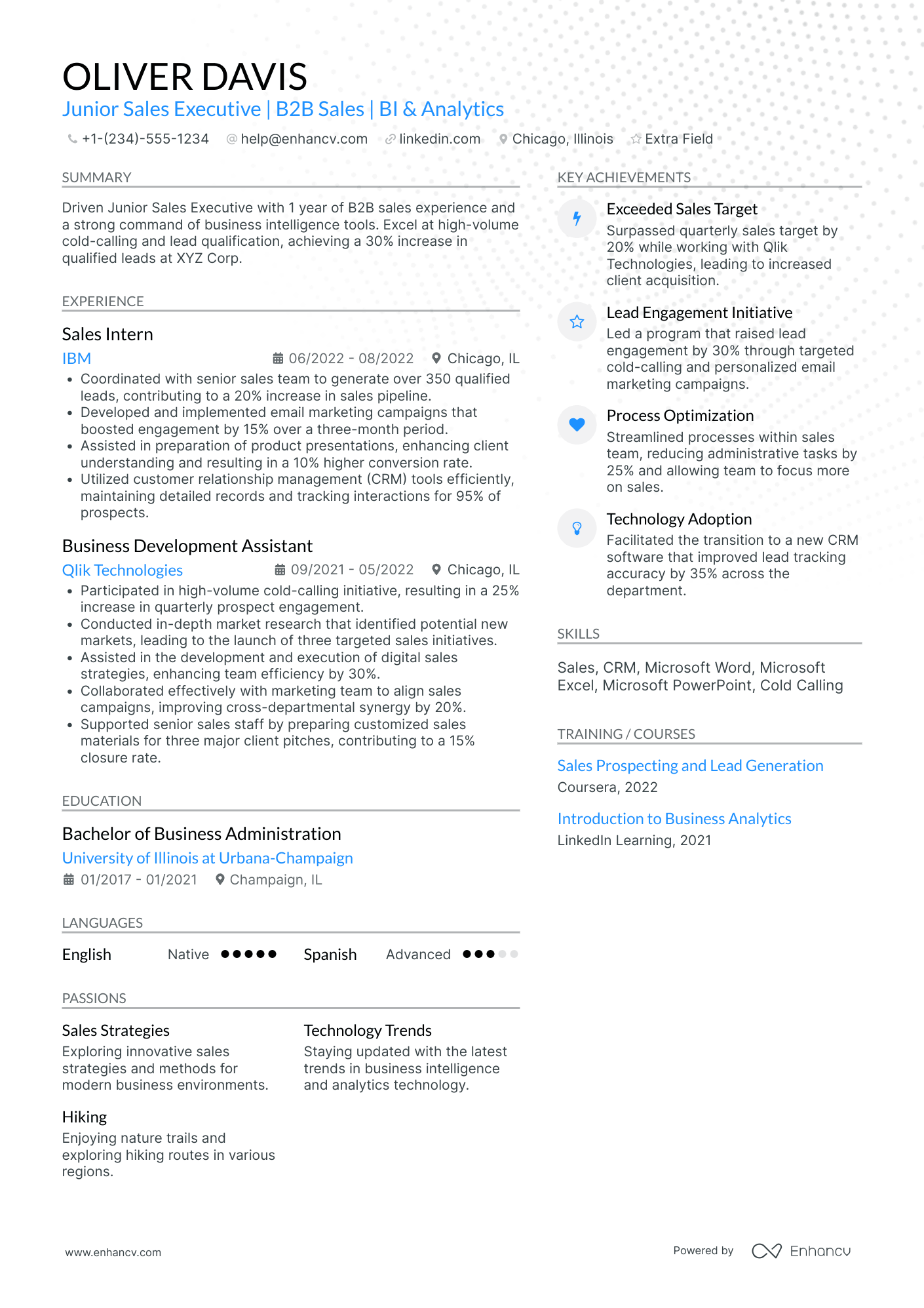 Junior Insurance Sales Associate Resume Example