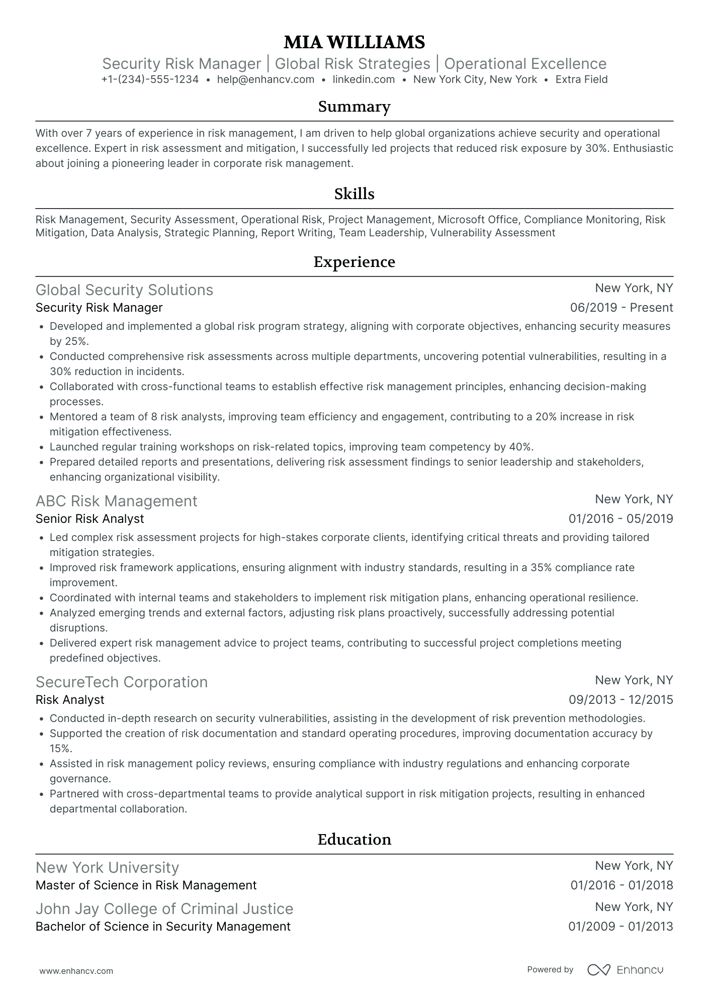 Security Risk Manager Resume Example