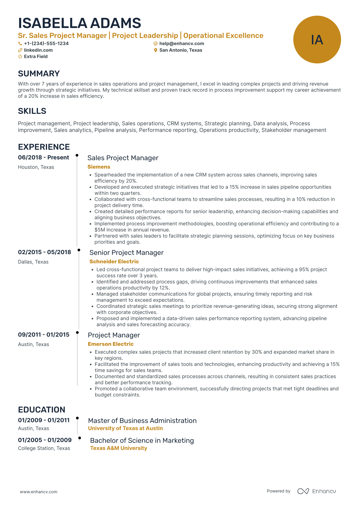 Sales Project Manager Resume Example