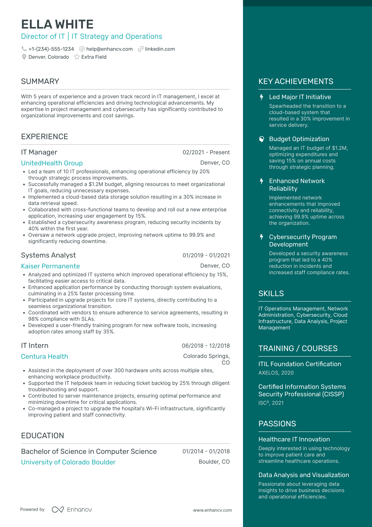 Junior IT Director Resume Example