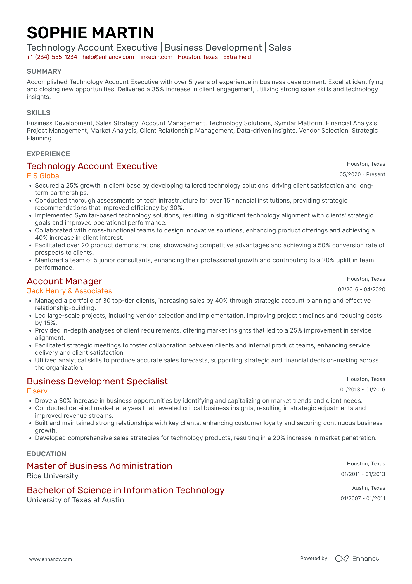 Technology Account Executive Resume Example