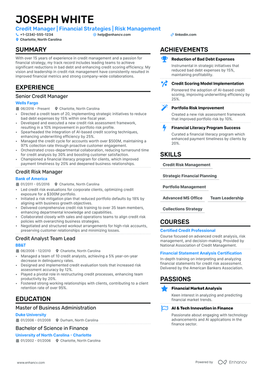 Credit Manager Resume Example