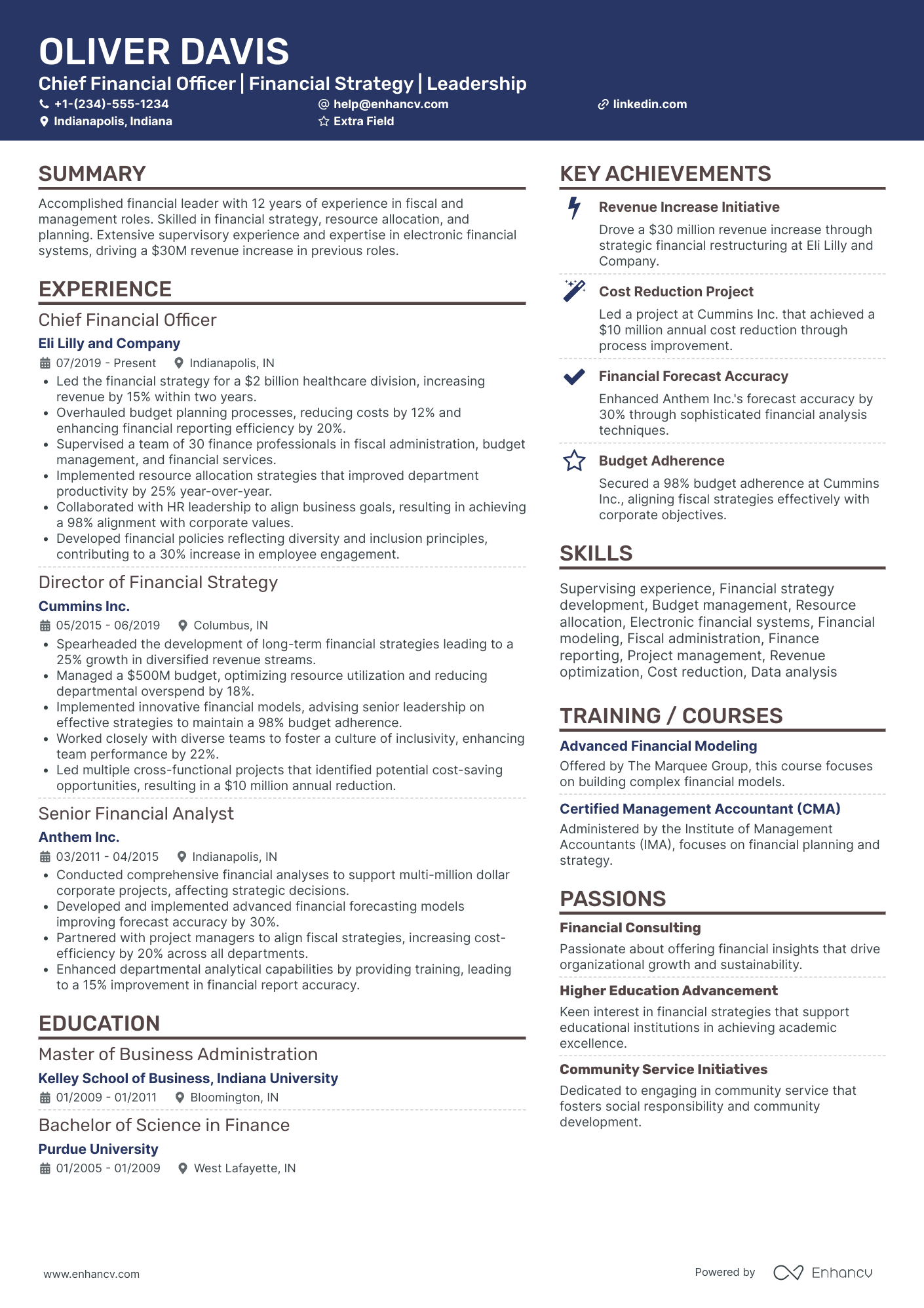 Chief Financial Officer Trainee Resume Example