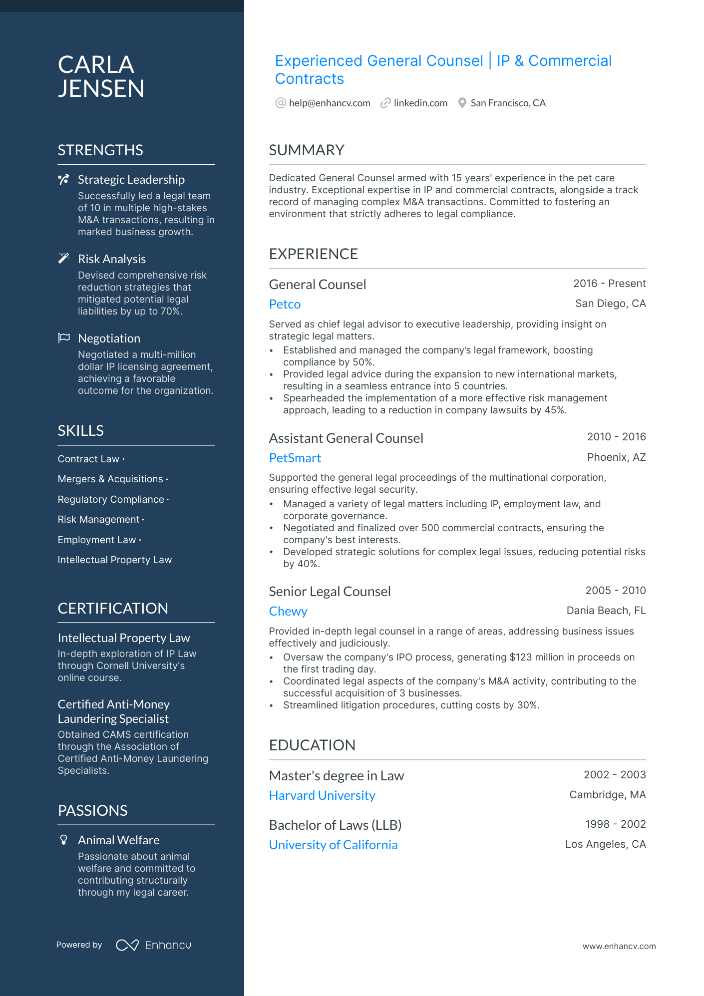 General Counsel Resume Example