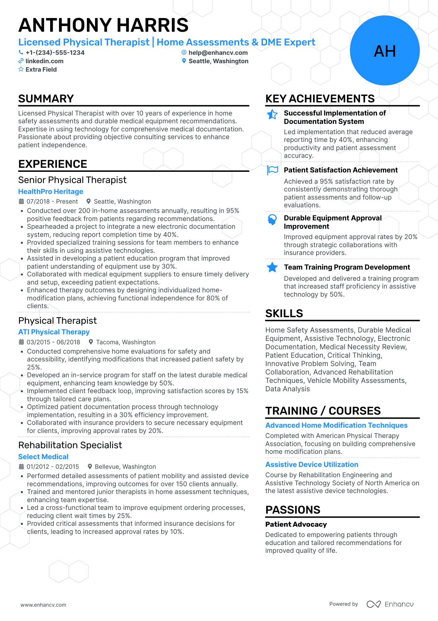 Physical Therapist Consultant Resume Example