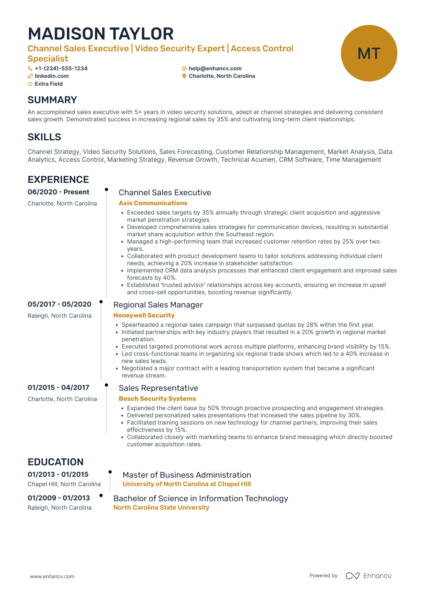 Channel Sales Executive Resume Example