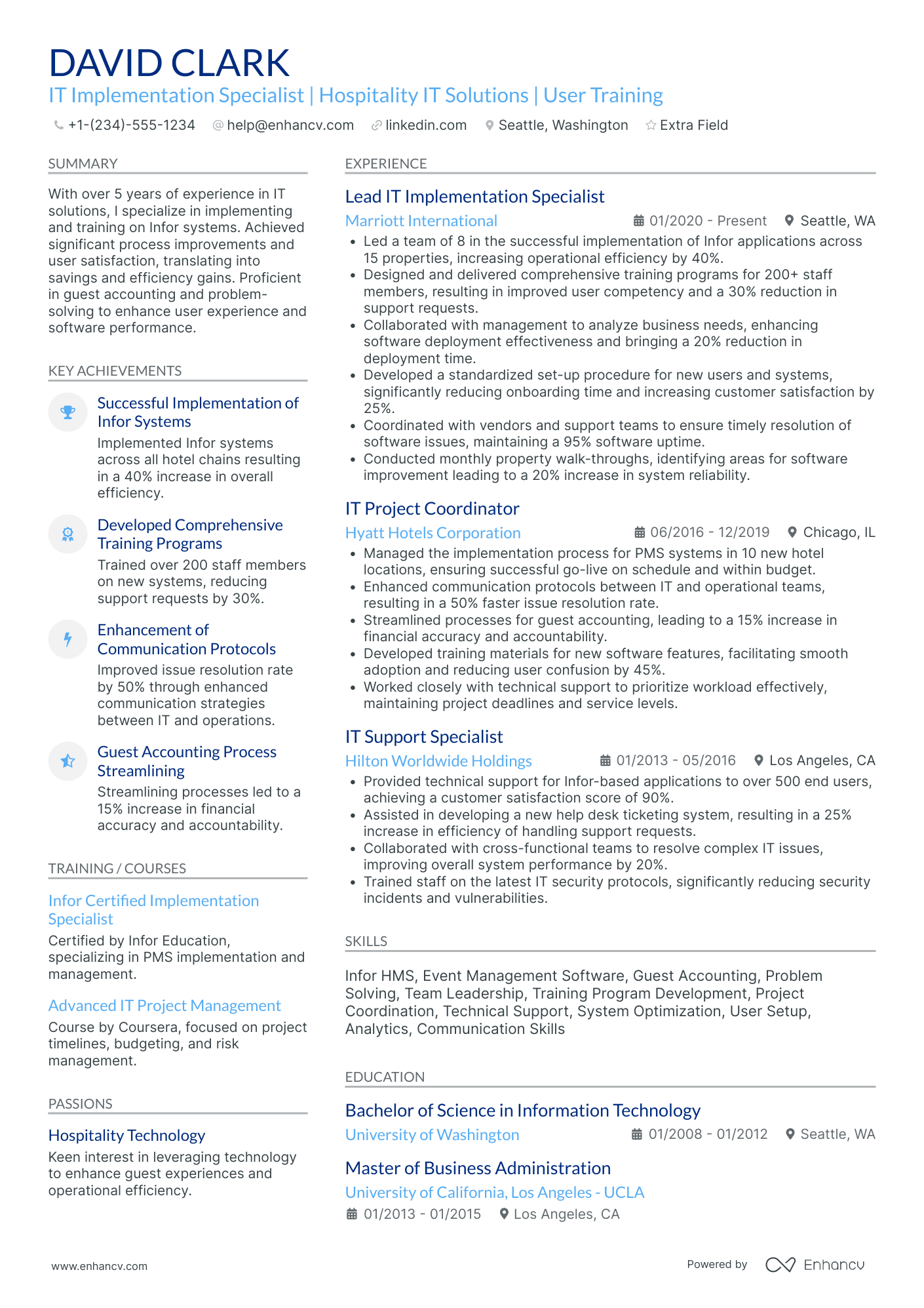 IT Implementation Manager Resume Example