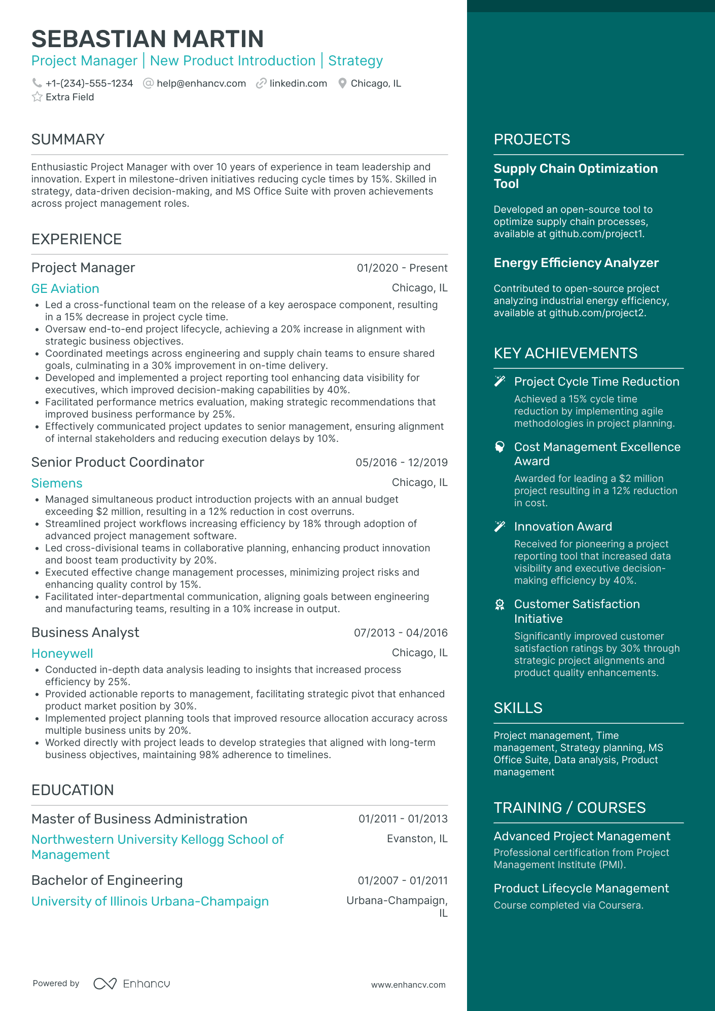 PMO Project Manager Resume Example