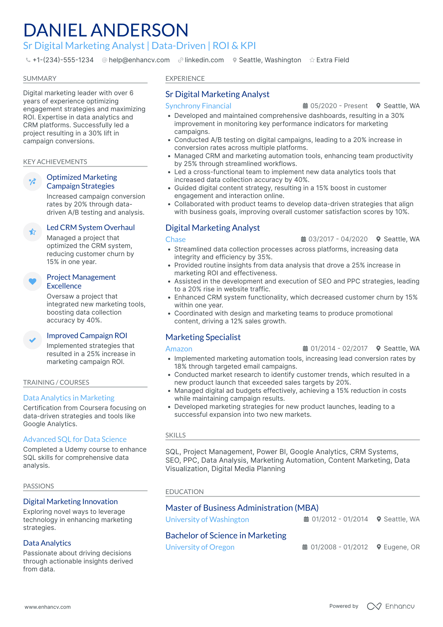 Digital Marketing Campaign Analyst Resume Example