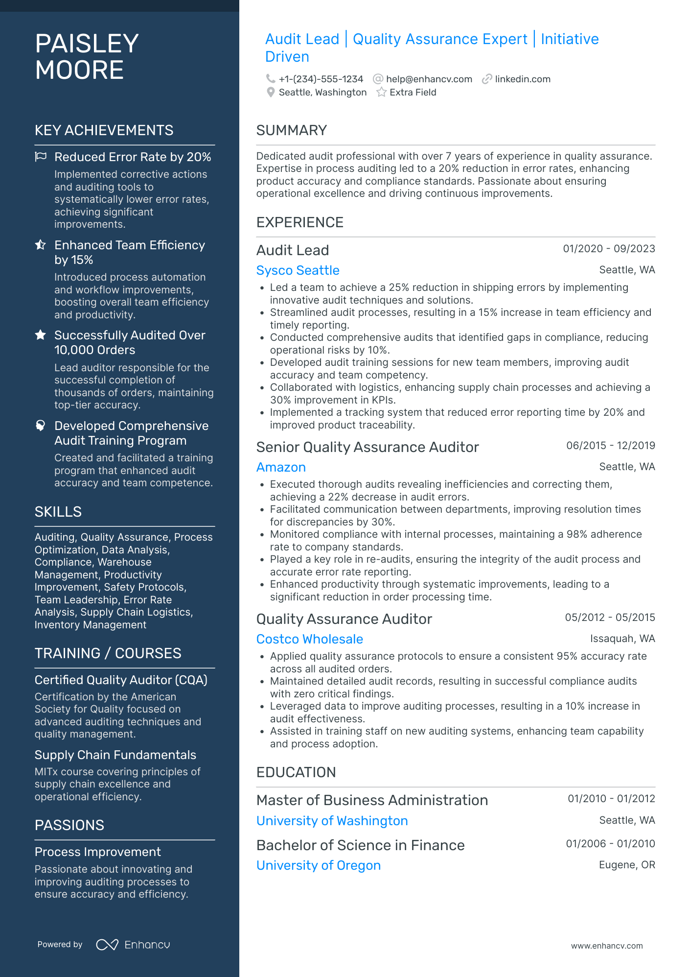 Lead Auditor Resume Example