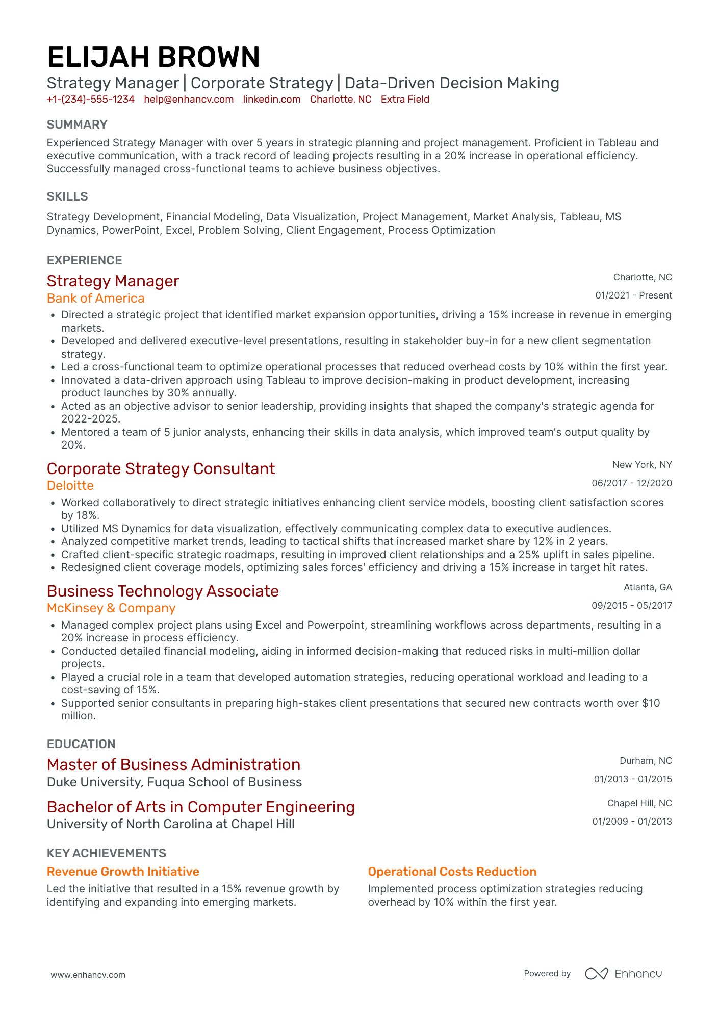 Investment Strategy Manager Resume Example