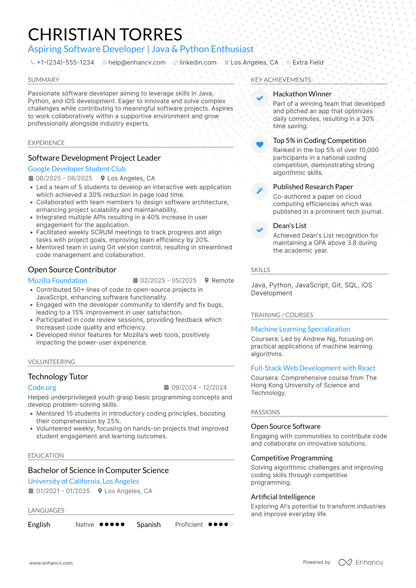 iOS Developer Intern Resume Example