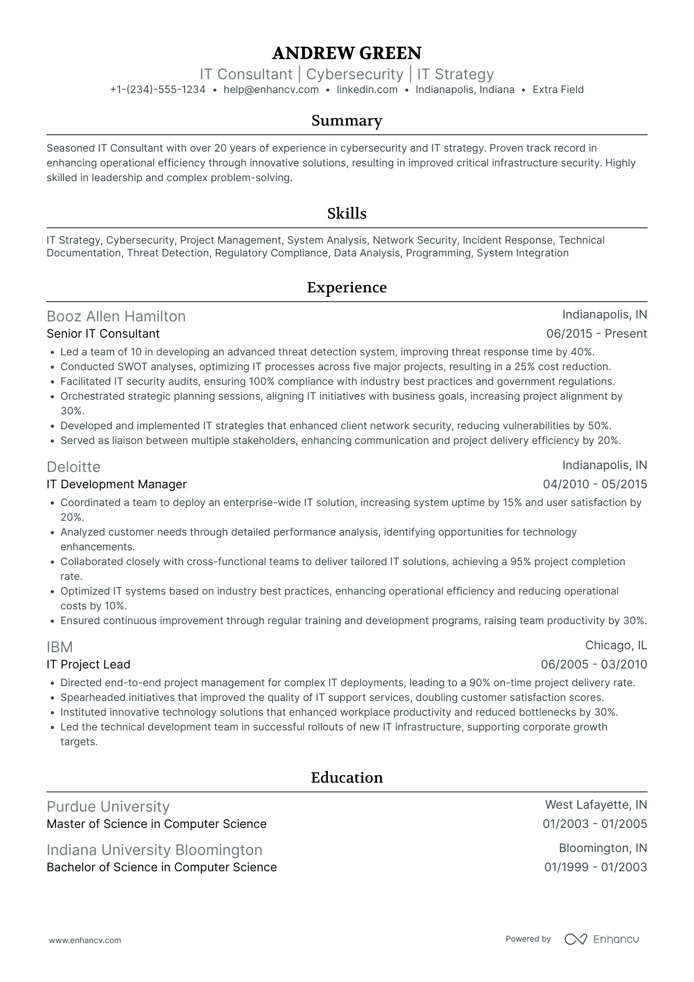 Work from Home IT Consultant Resume Example