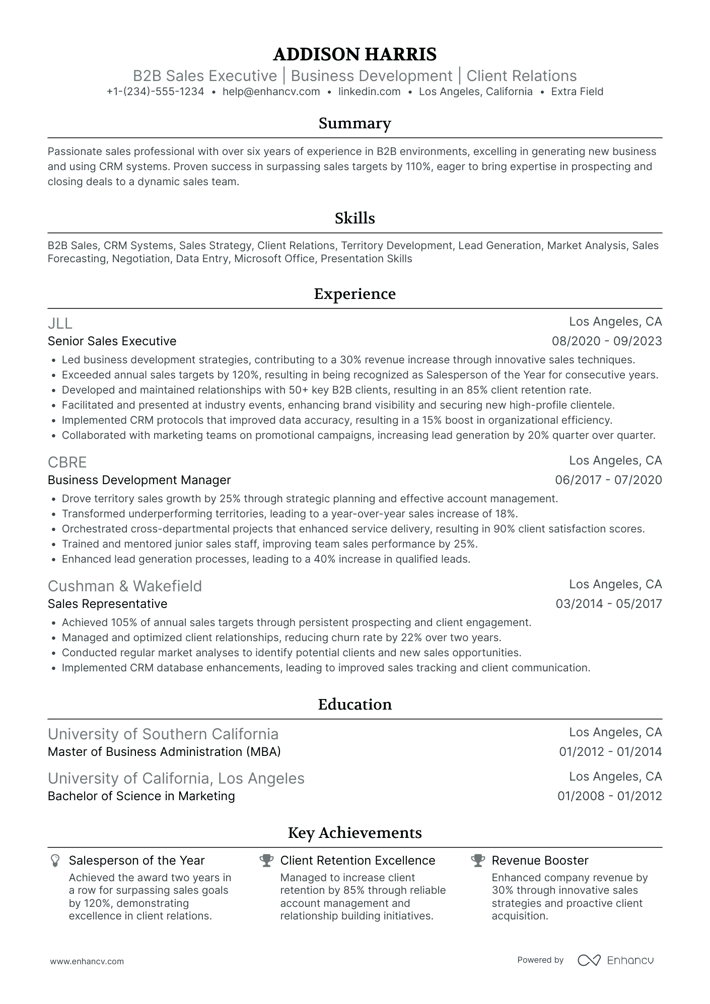 B2B Sales Executive Resume Example