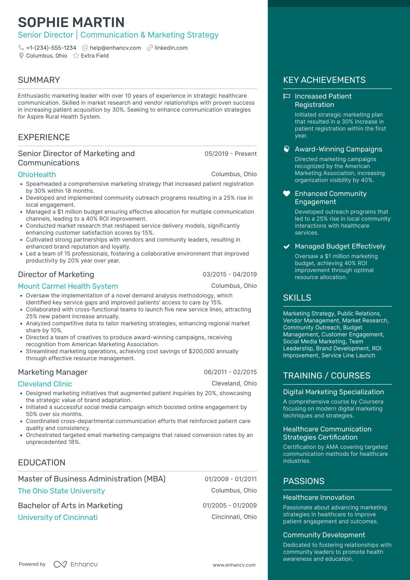 Marketing Strategy Director Resume Example