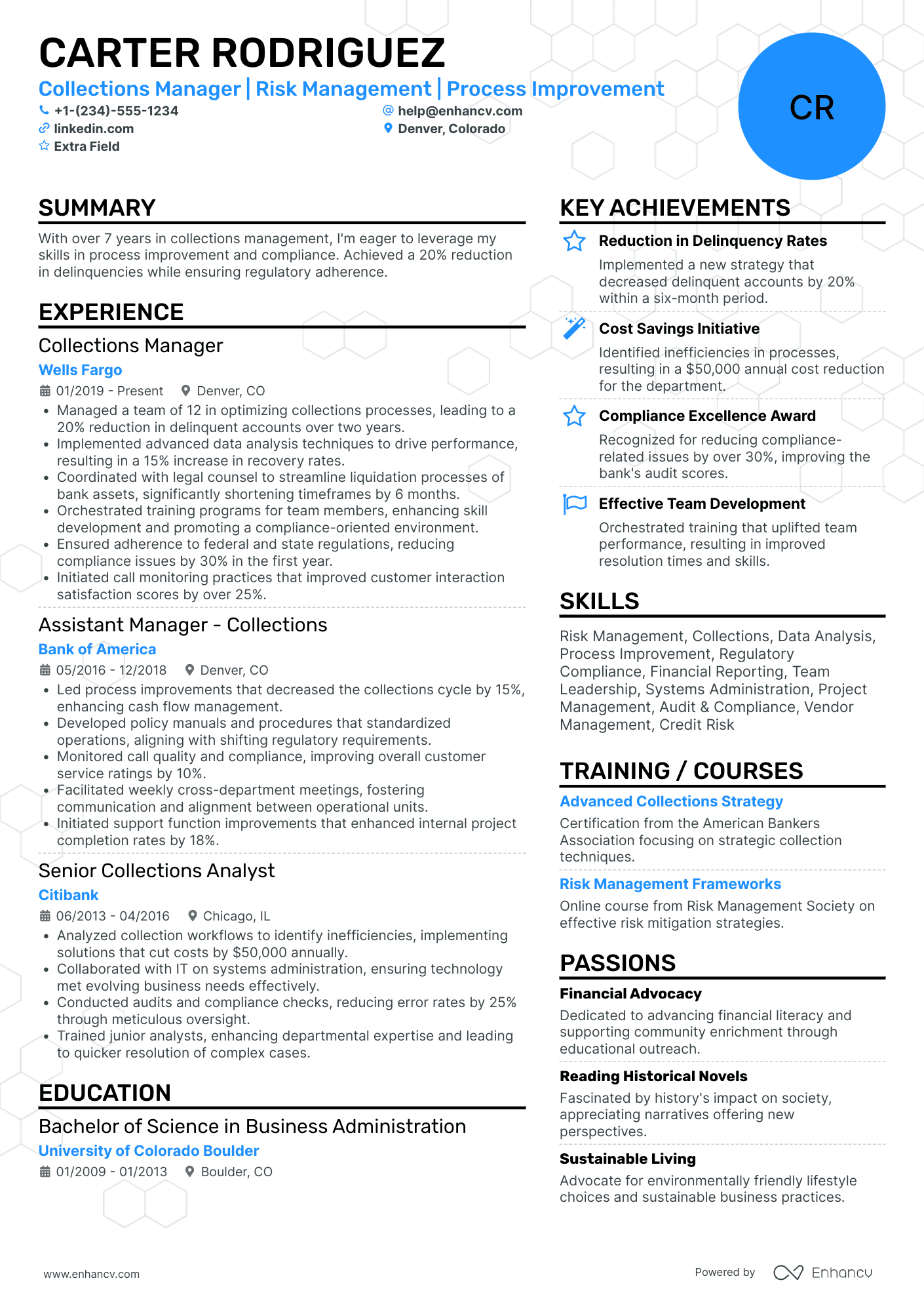 Senior Debt Collector Resume Example