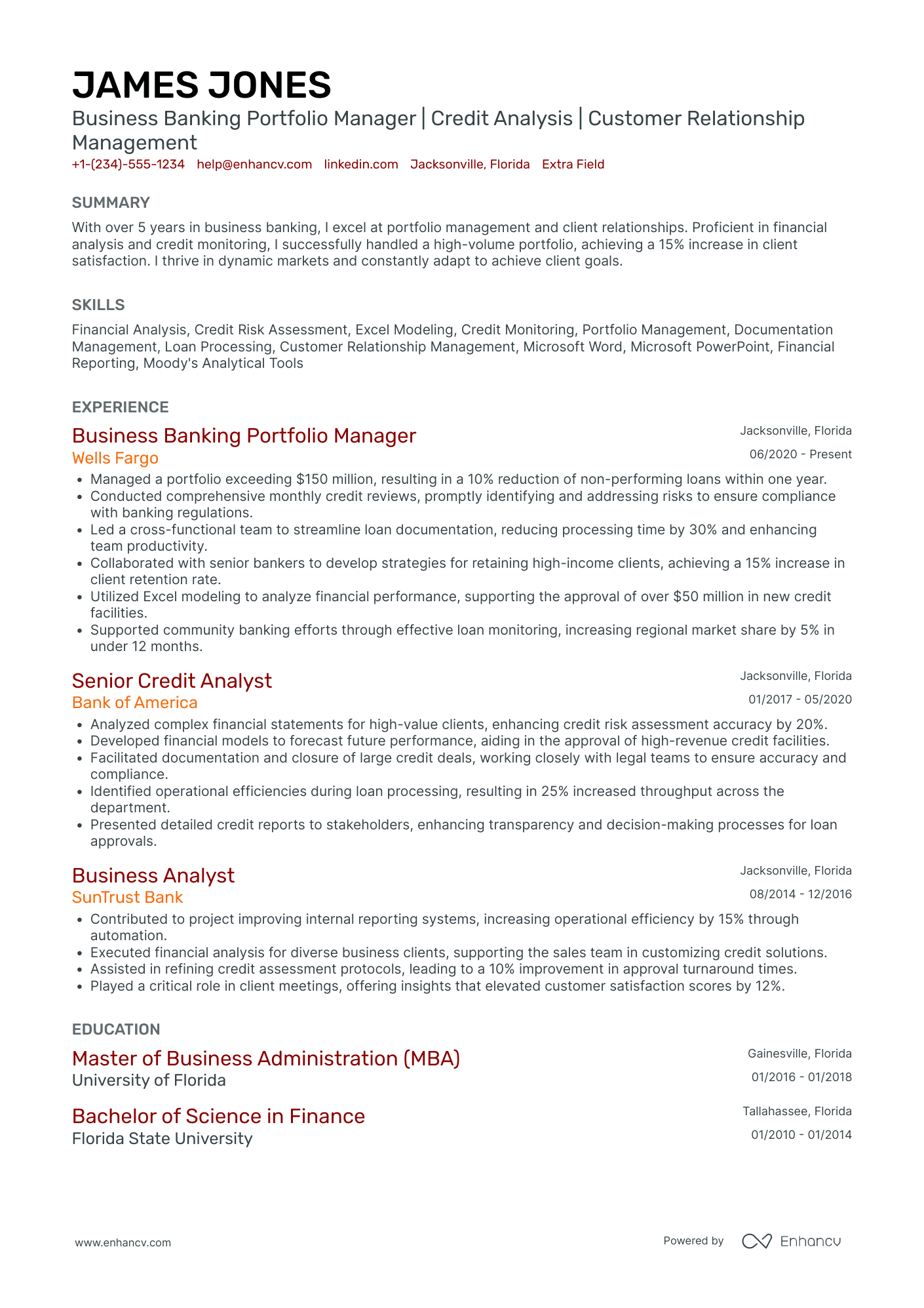 Bank Portfolio Manager Resume Example