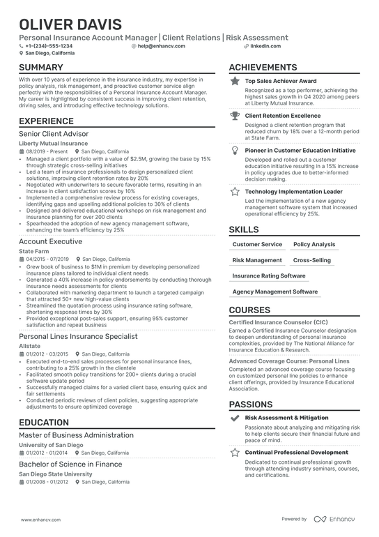 Insurance Account Manager Resume Example