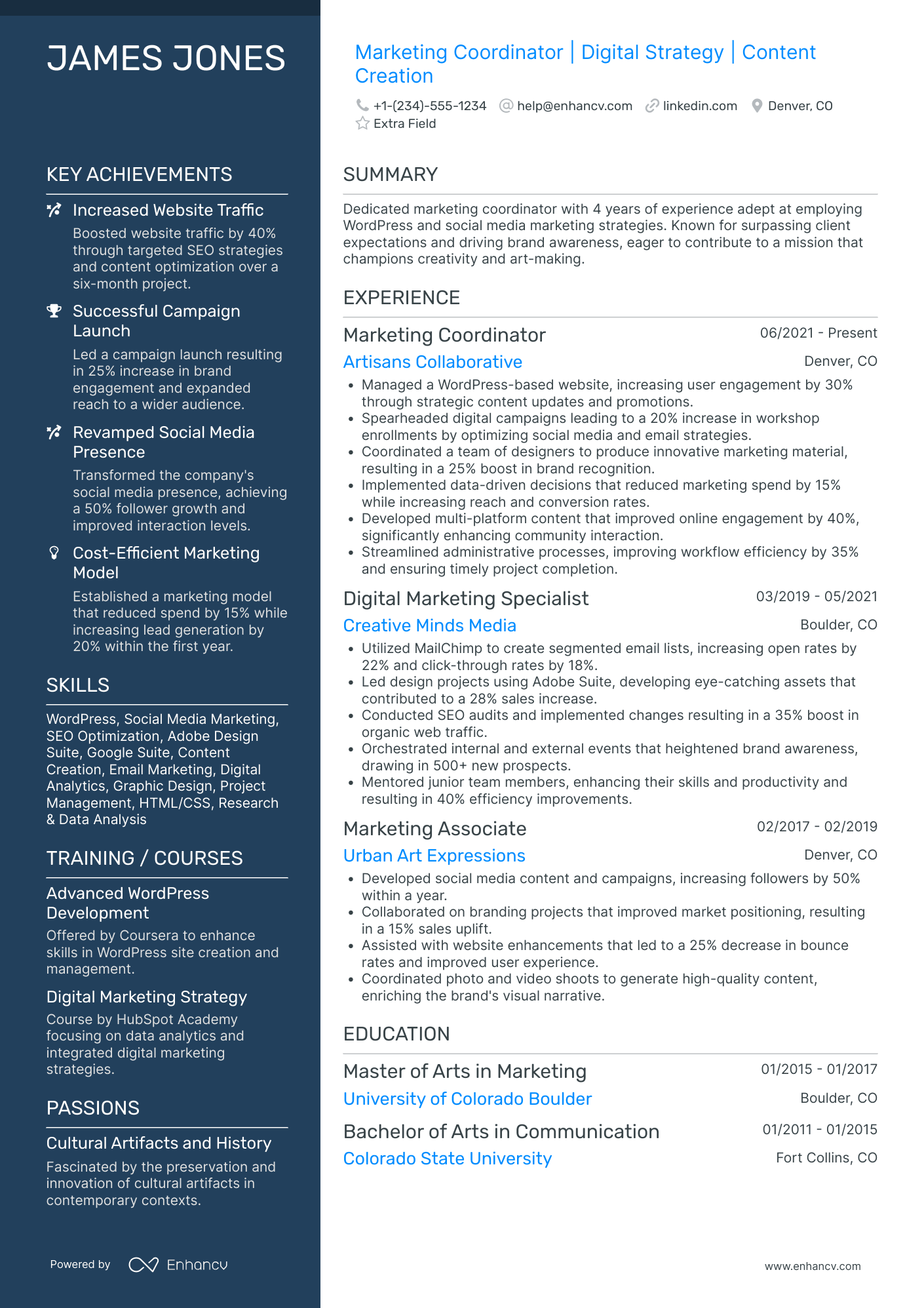 Entry Level Digital Marketing Executive Resume Example