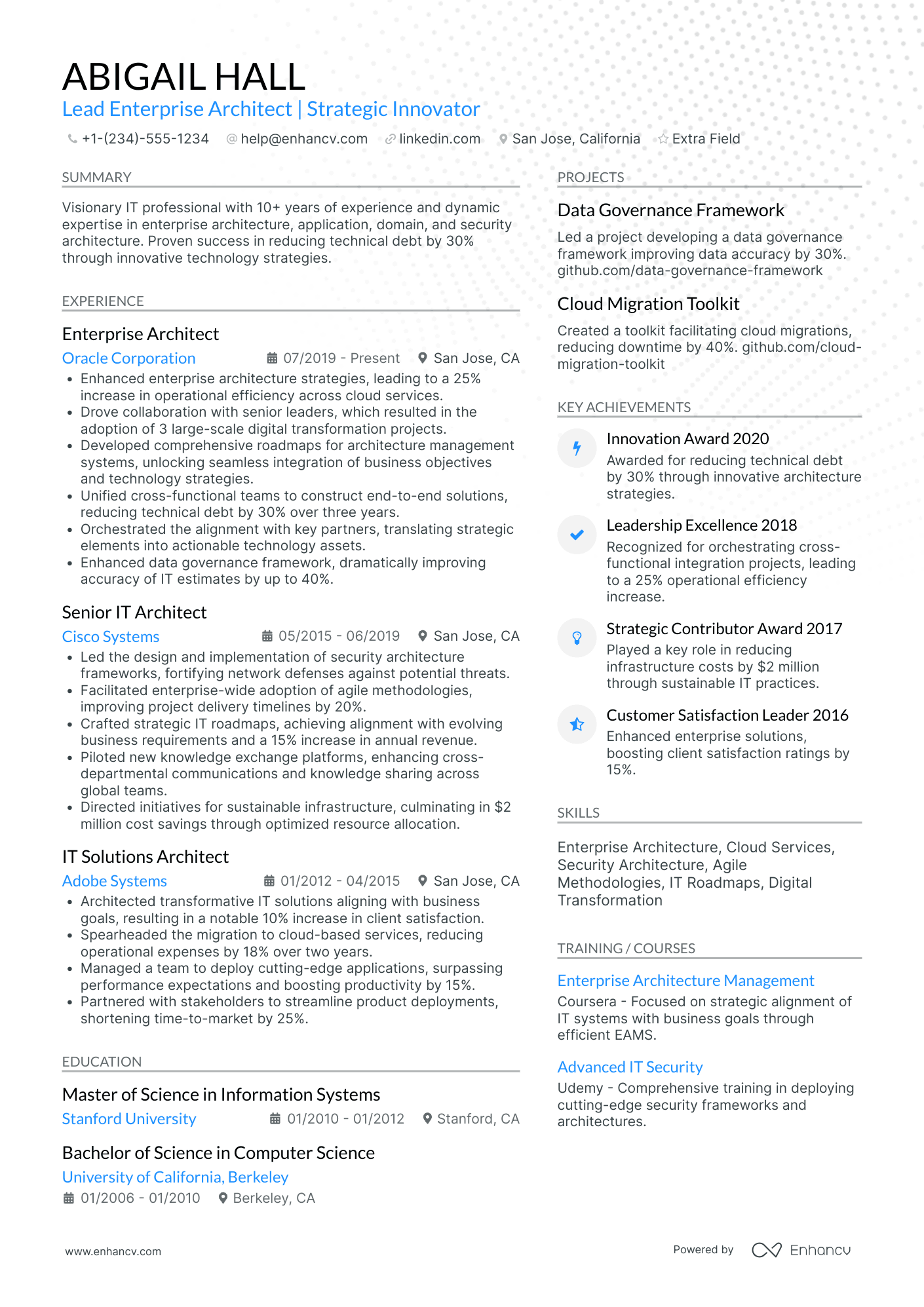 Lead Enterprise Architect Resume Example