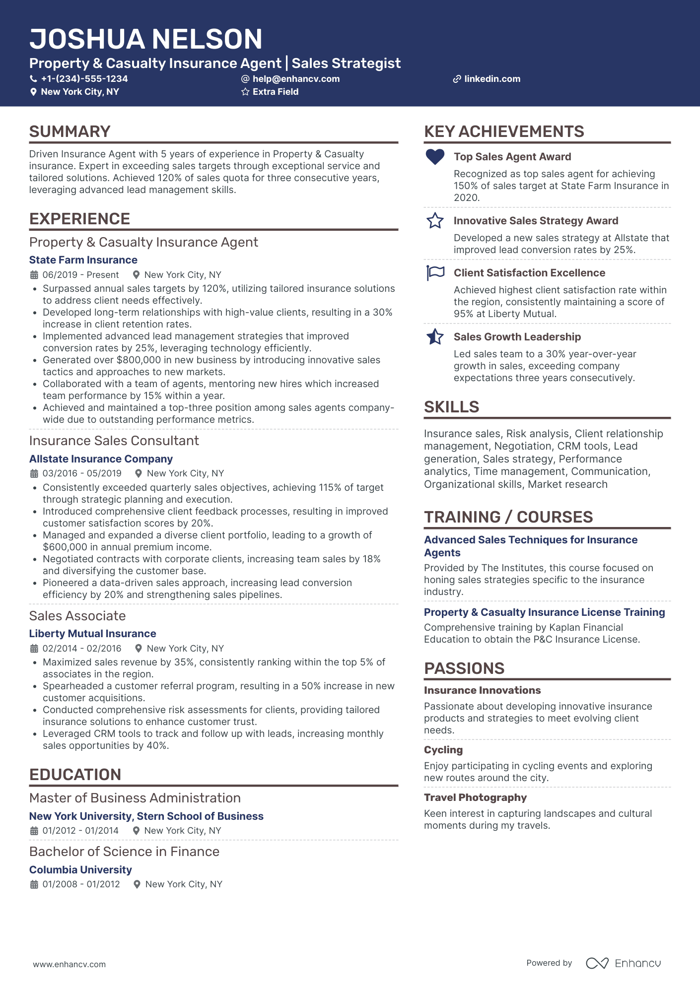 Property Insurance Agent Resume Example