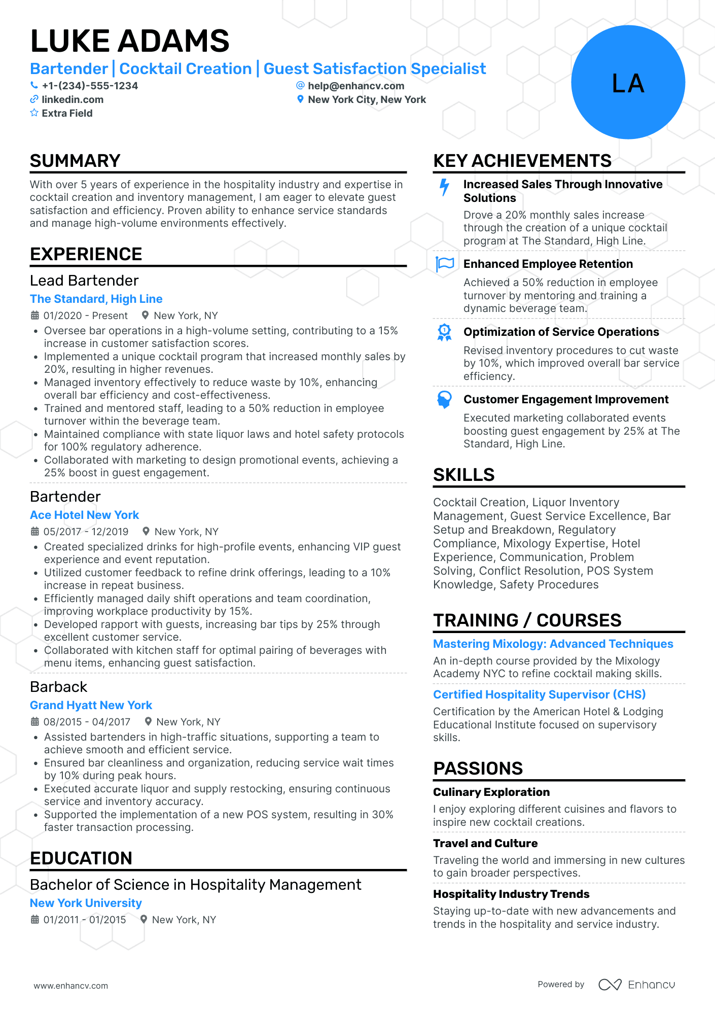 Resort Bartender Resume Example