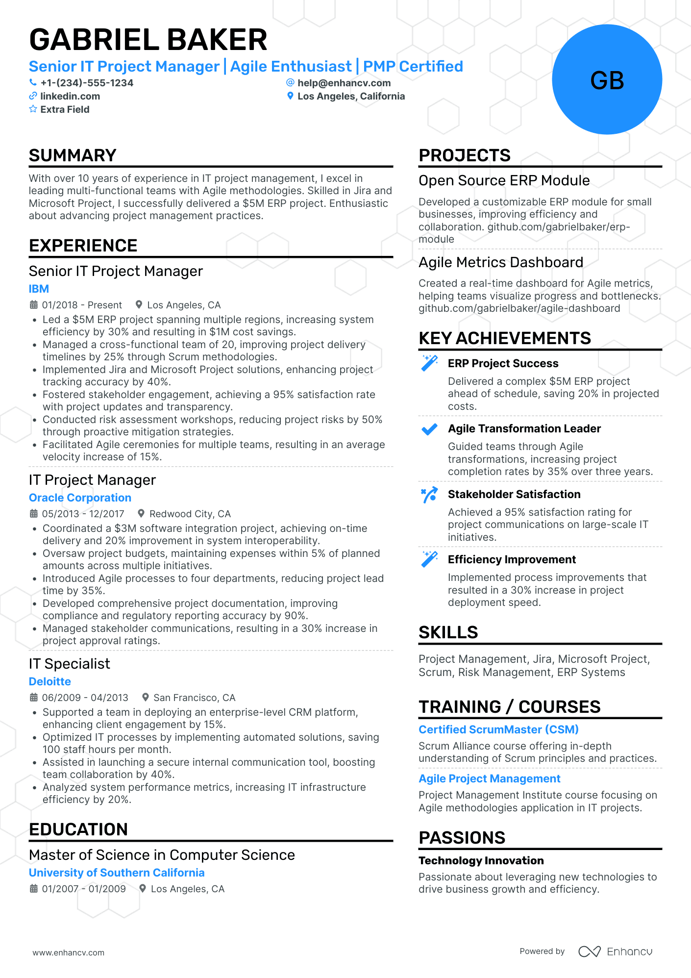 Senior IT Project Manager Resume Example