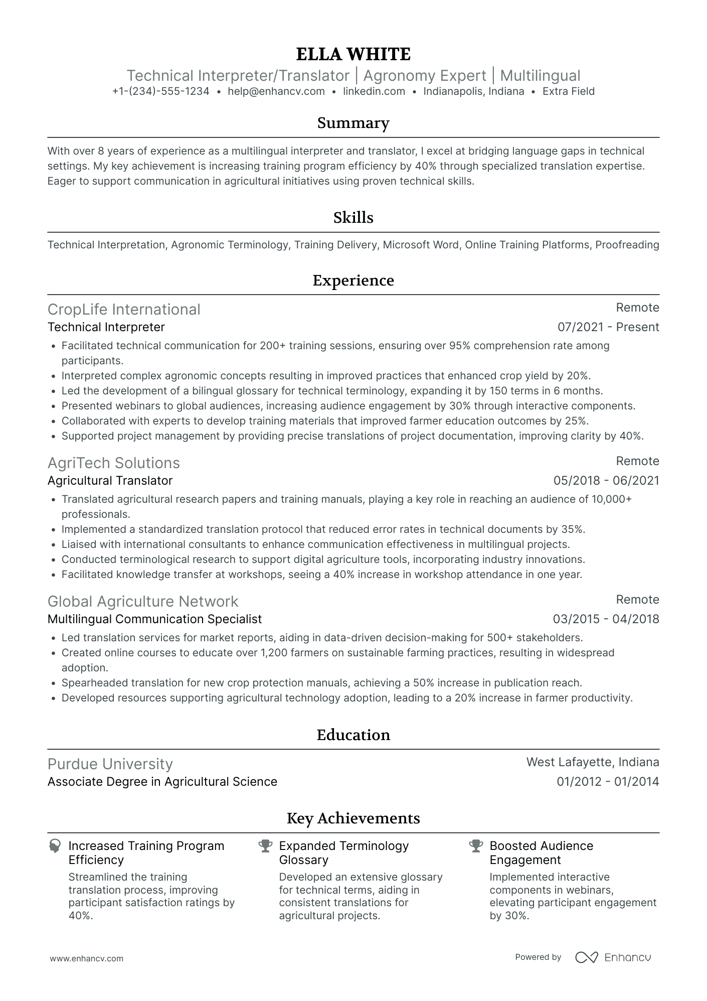 Technical Translator Resume Example