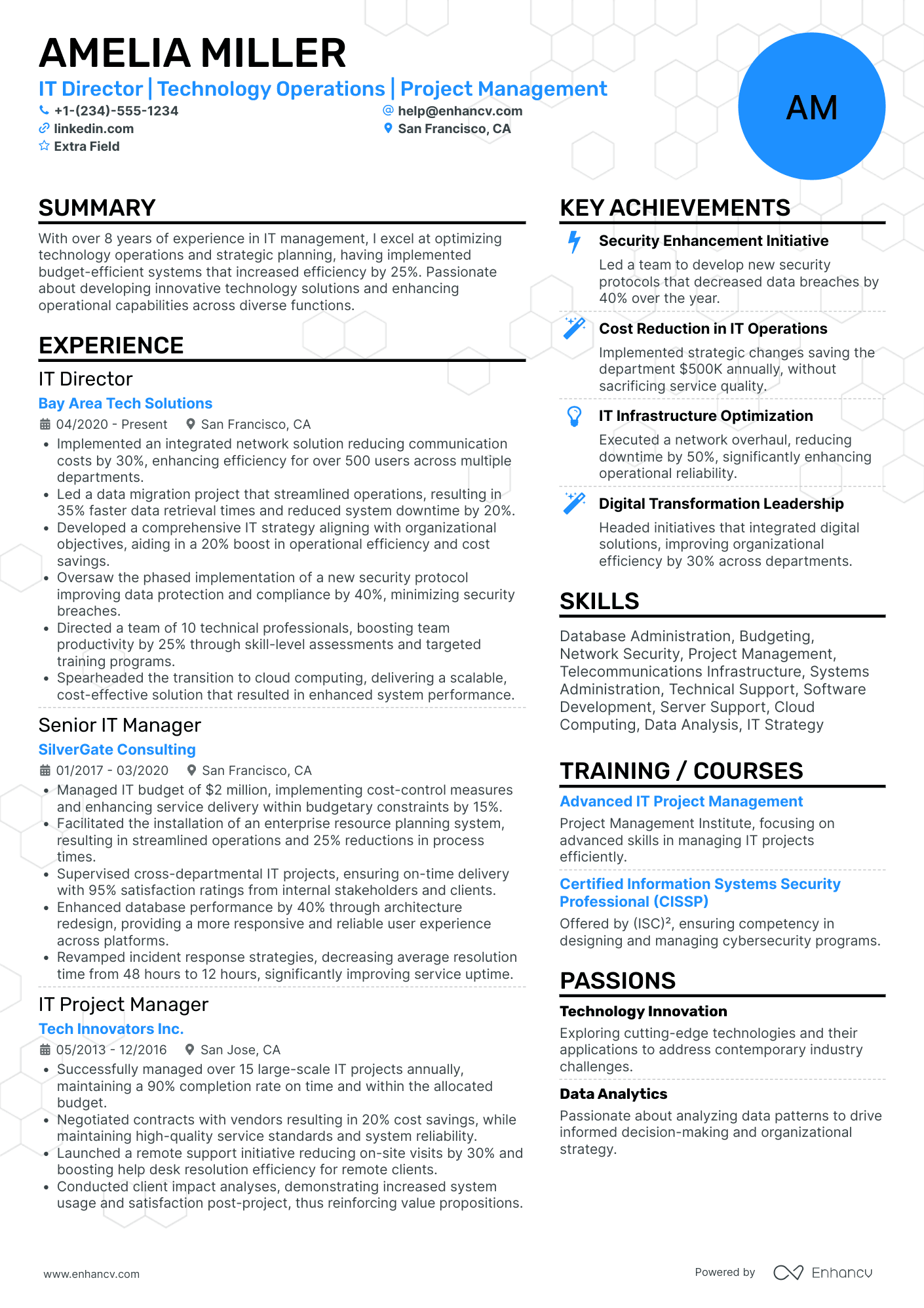 IT Director of Enterprise Architecture Resume Example