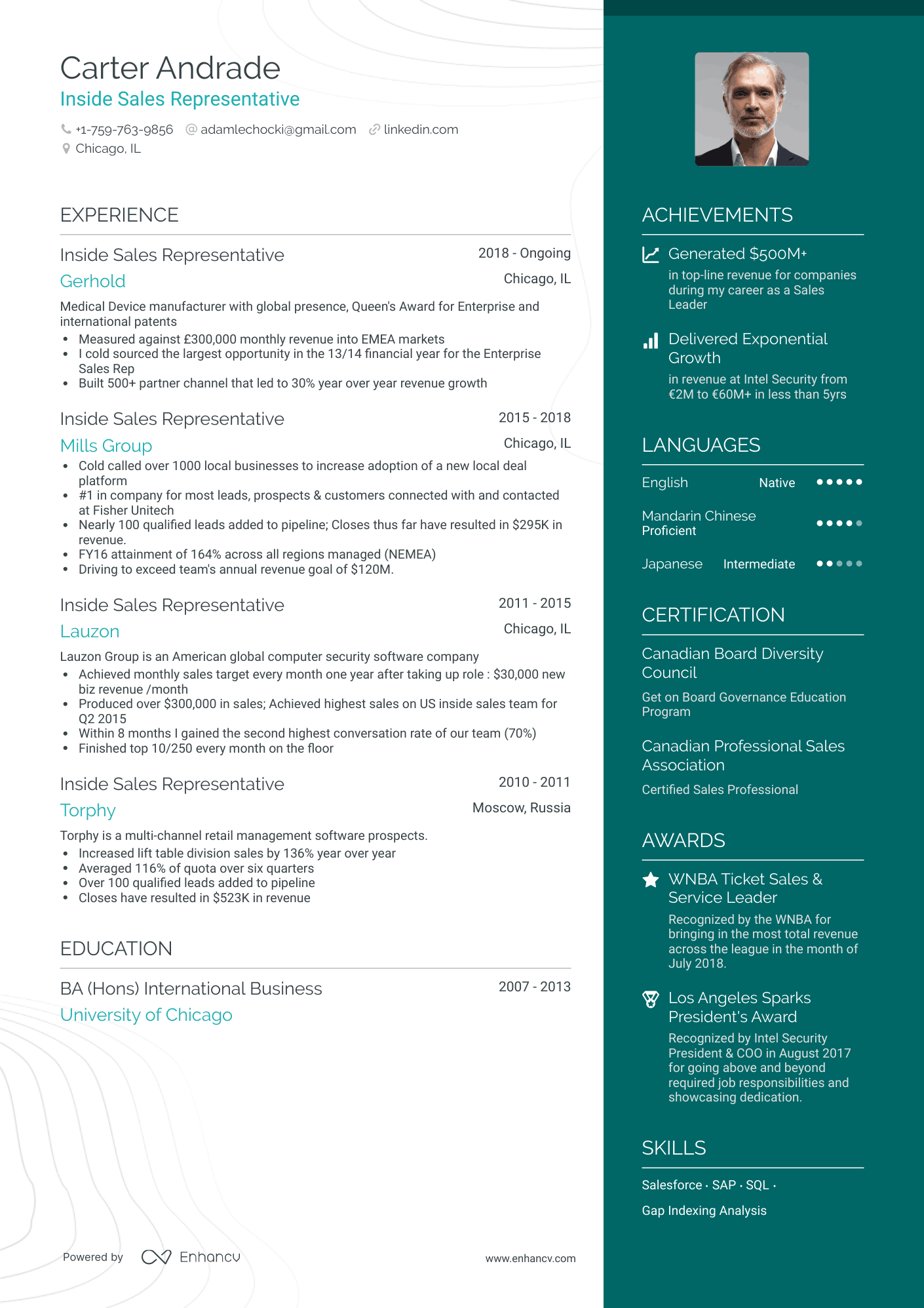 Inside Sales Resume Example