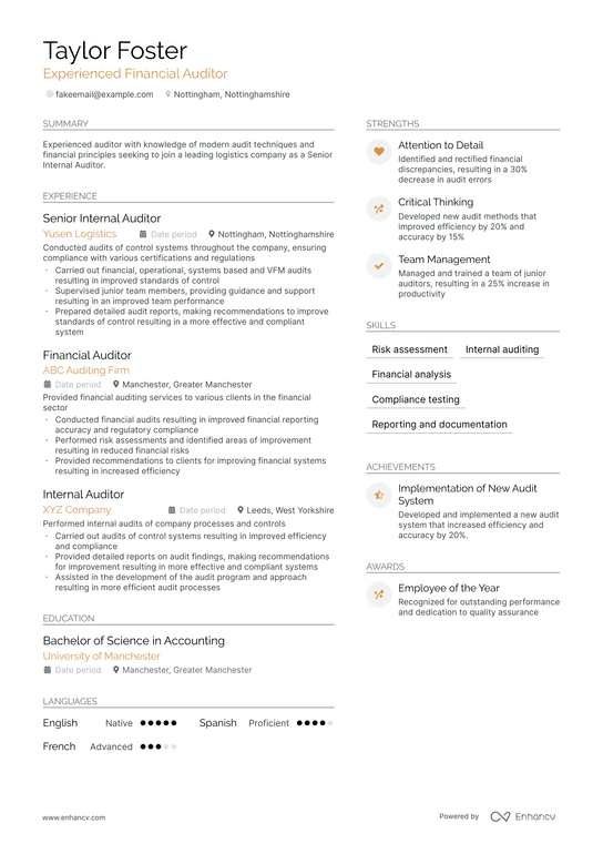 Financial Auditor Resume Example