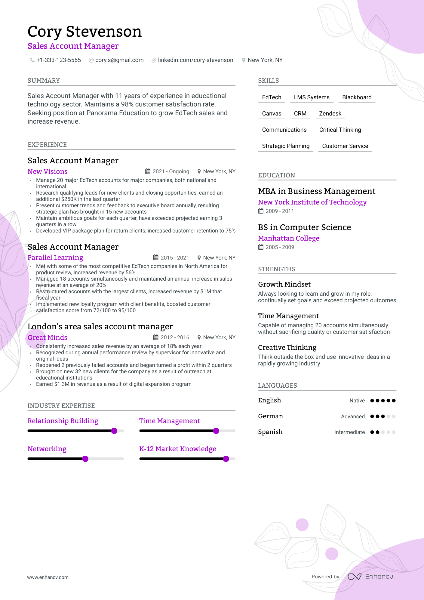 Sales Account Manager Resume Example