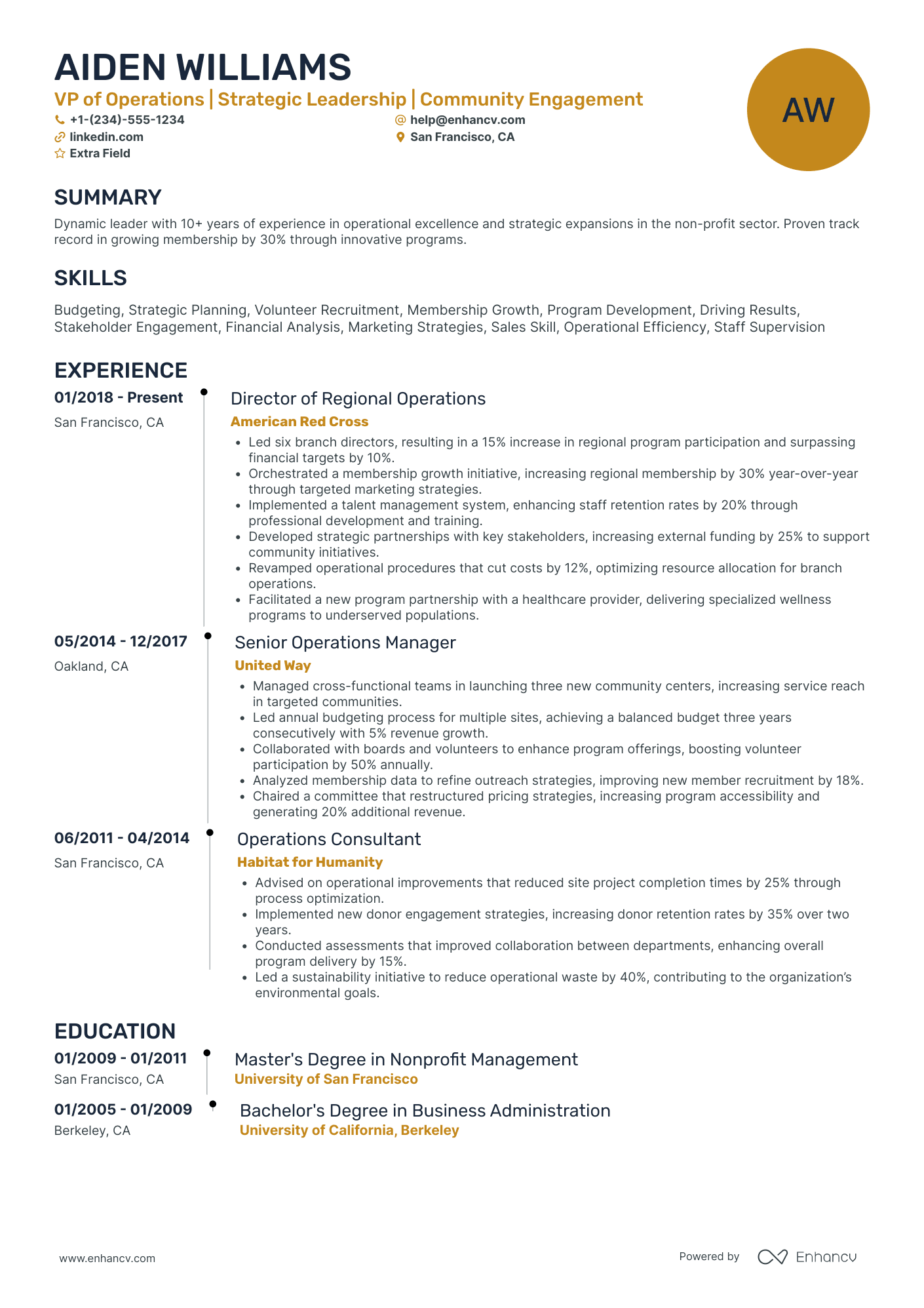 VP of Sales Operations Resume Example